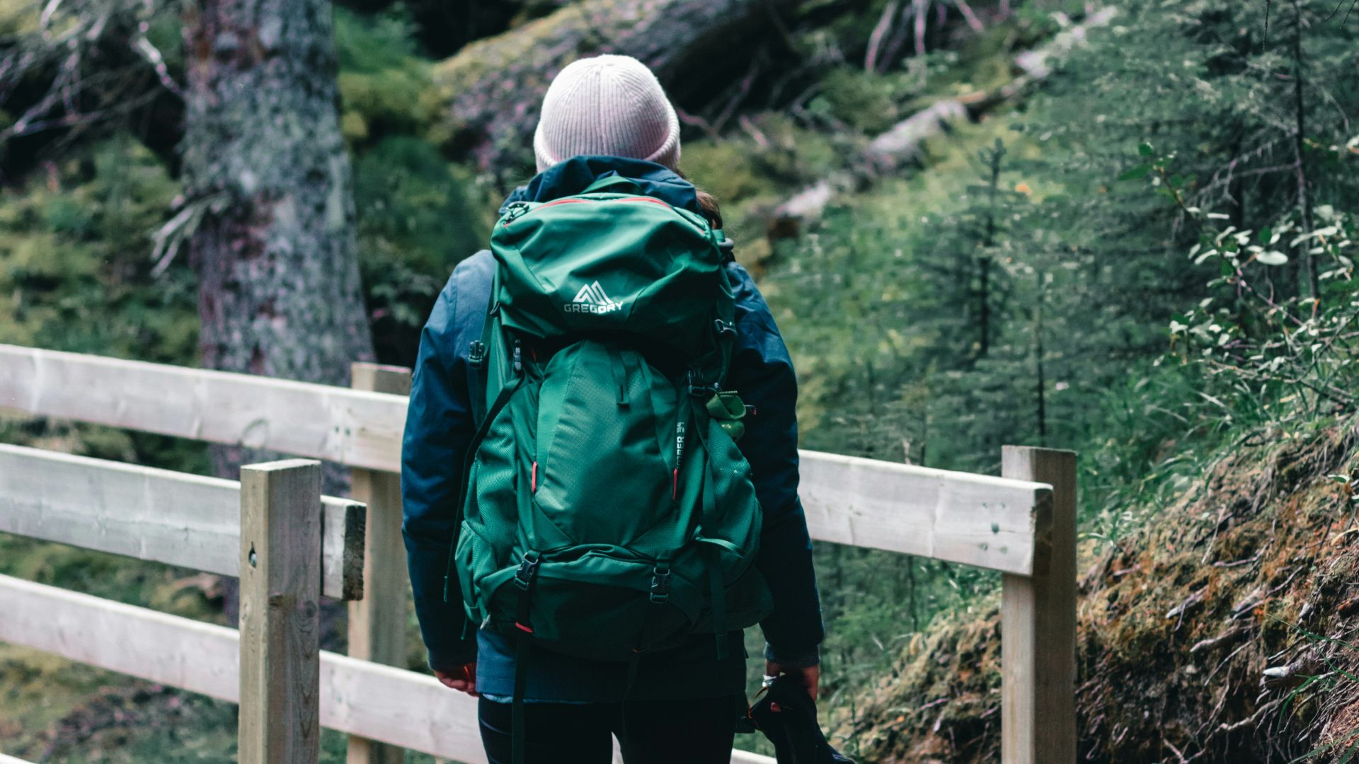person in green and black jacket and black pants standing on brown wooden bridge during daytime