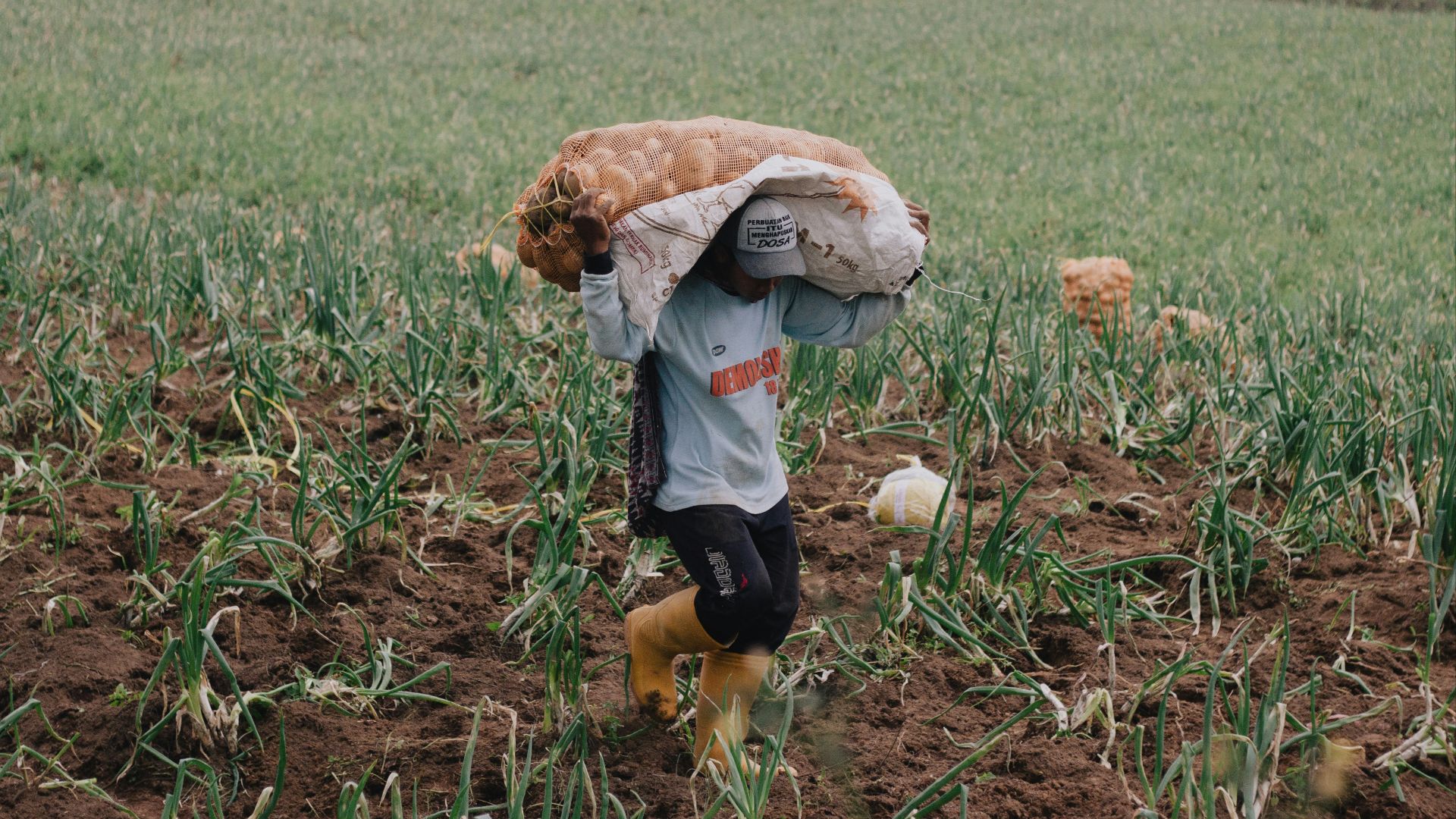 child in white long sleeve shirt and black pants walking on brown dried leaves during daytime
