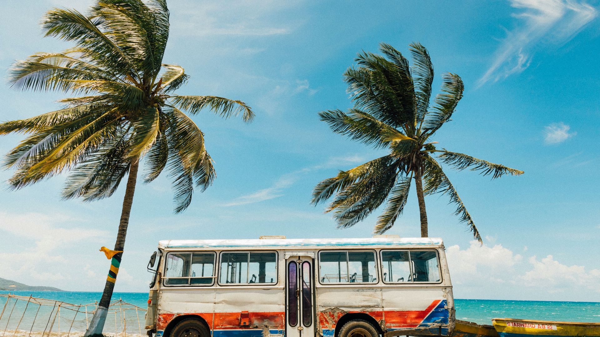 white and blue bus near palm tree under blue sky during daytime