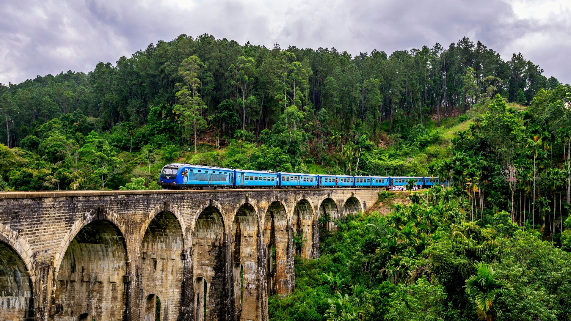 blue train surrounded by trees