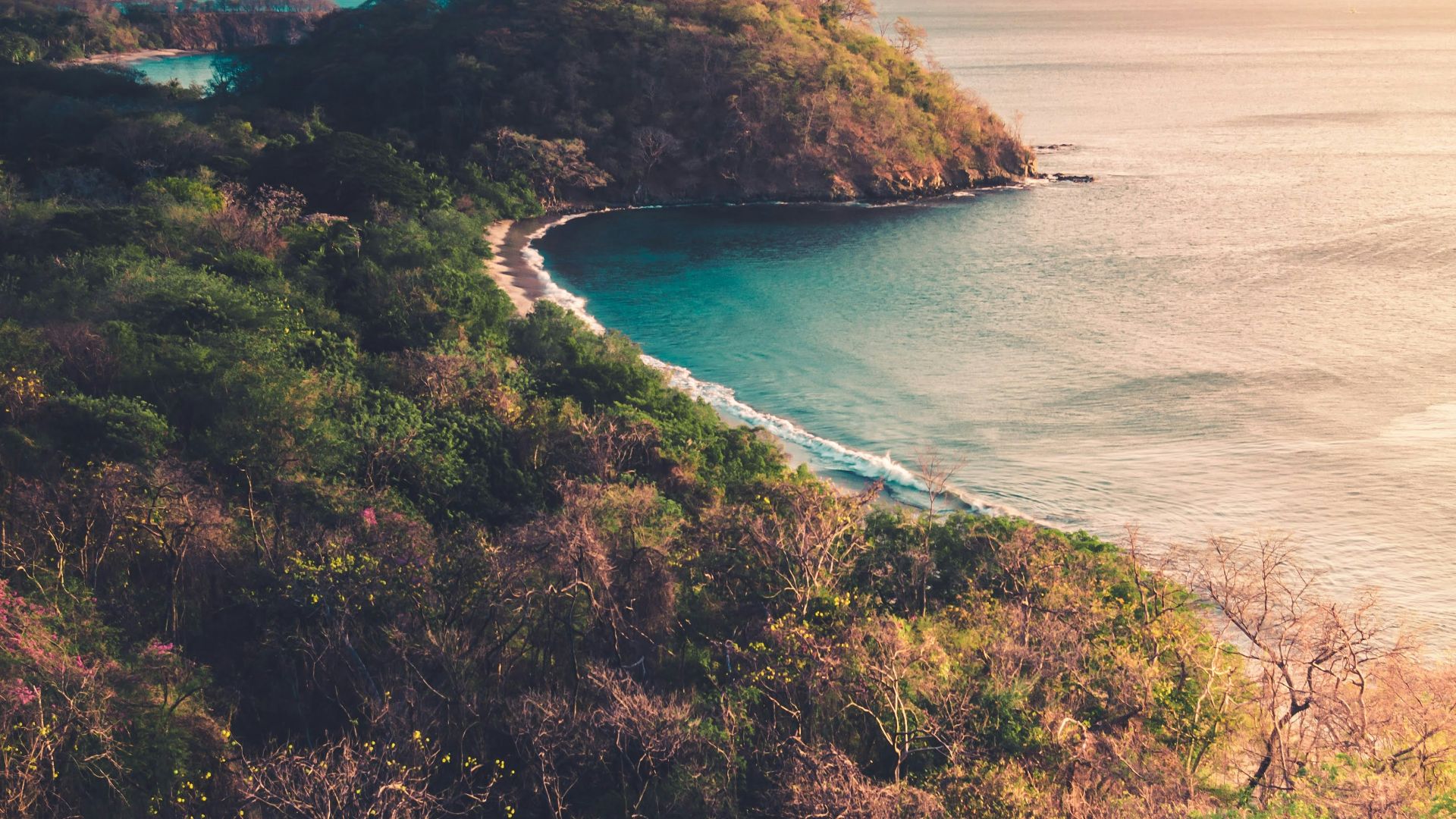 green trees on brown mountain beside blue sea during daytime