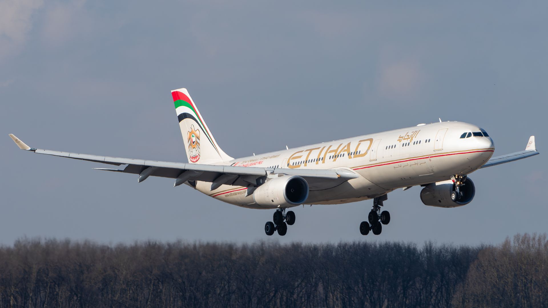 File:Etihad Airways Airbus A330-343 A6-AFC MUC 2015 01.jpg