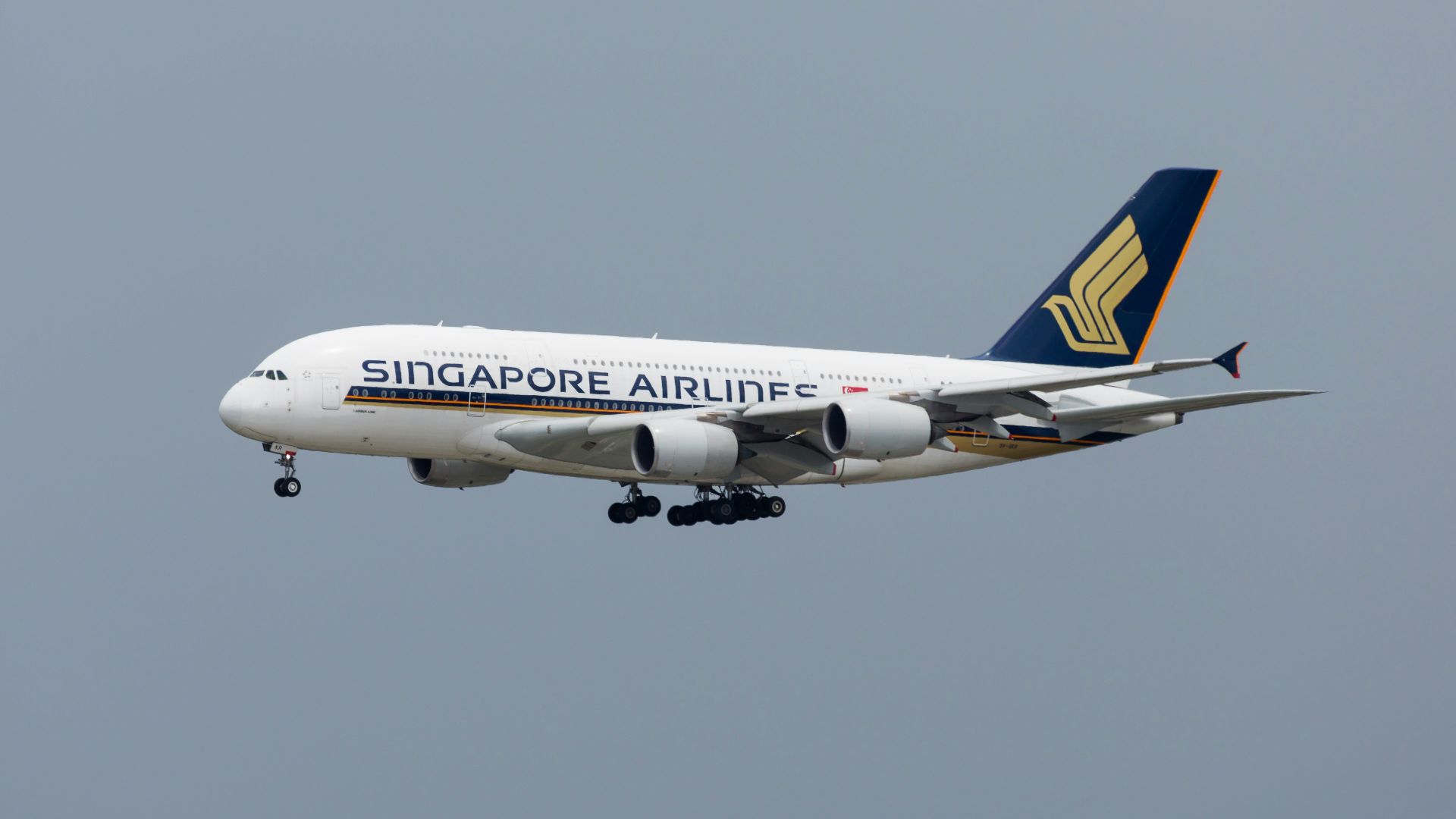 Singapore Airliner
