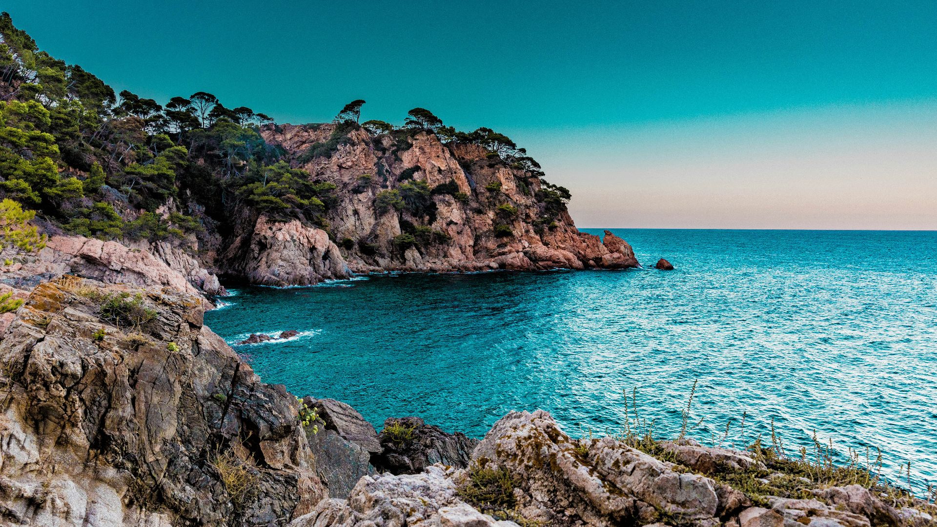 green trees covered island