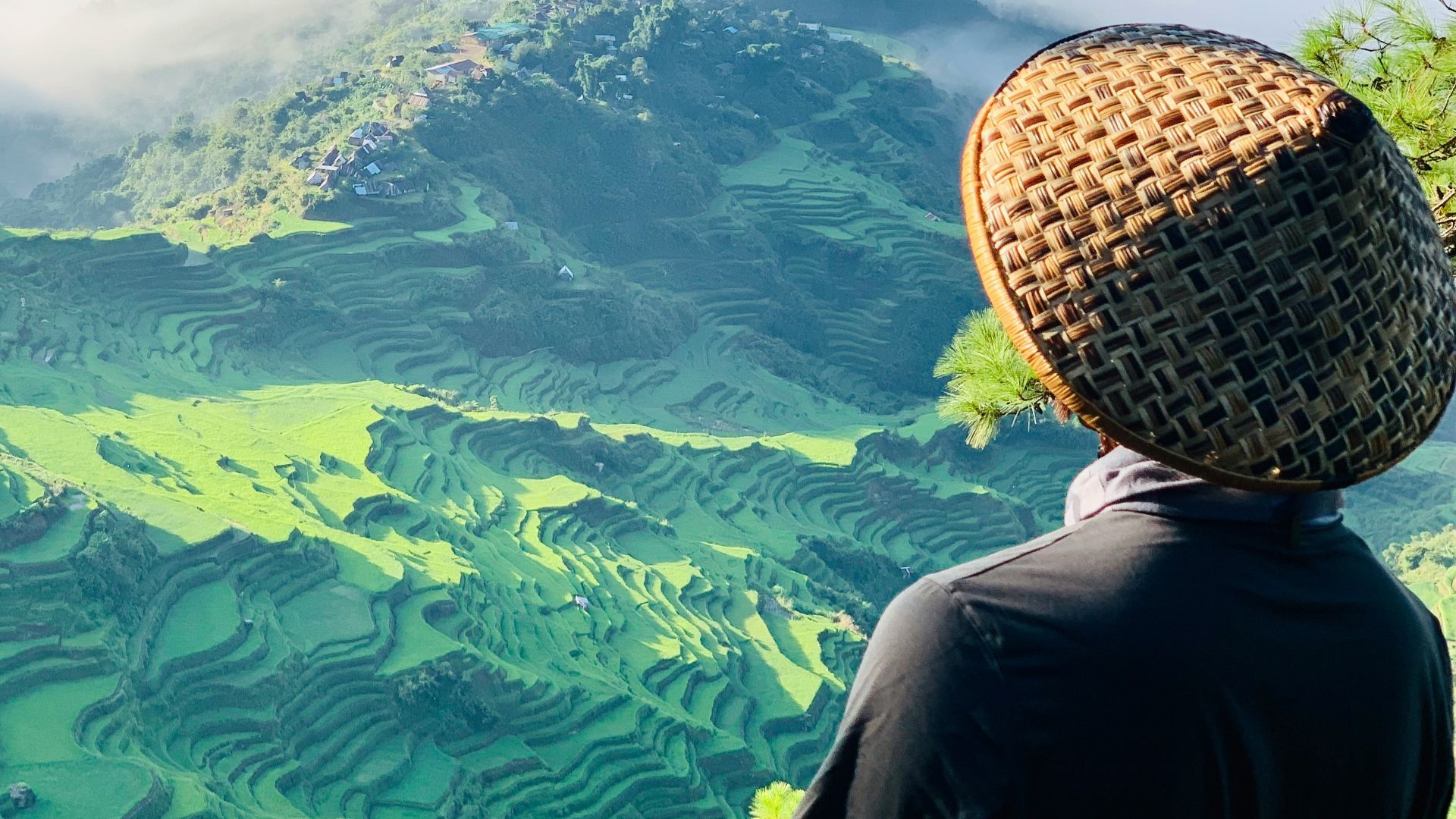 person in black long sleeve shirt and brown hat standing on green grass field during daytime