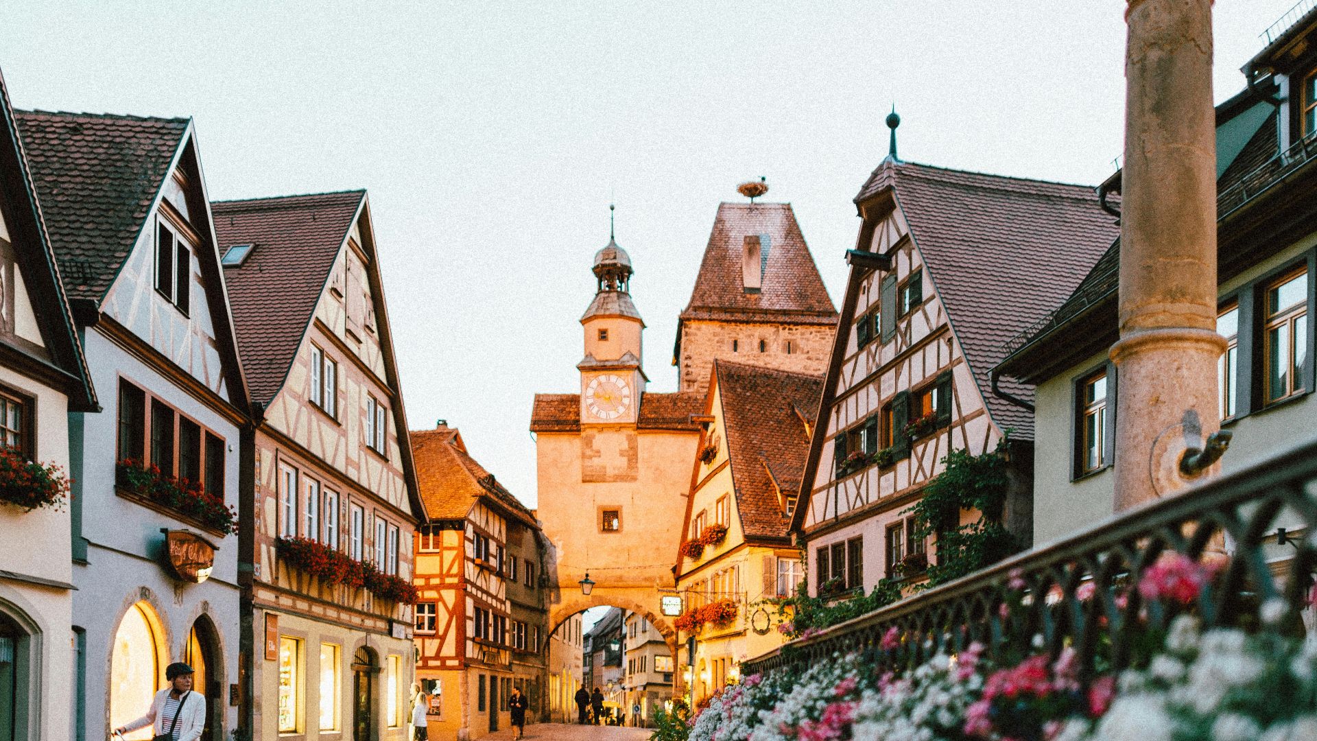 white and pink petaled flowers on metal fence near concrete houses and tower at daytime