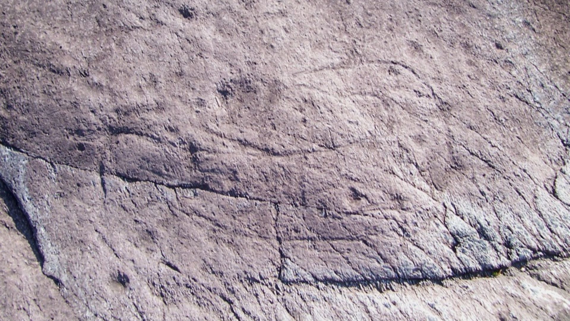 File:Cervide R 34 - Luine - Darfo Boario Terme (Foto Luca Giarelli).jpg