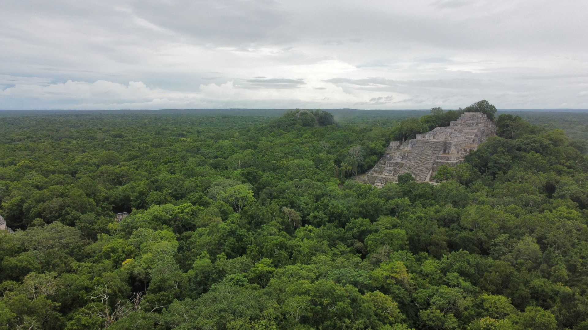 an aerial view of a large pyramid in the middle of a forest