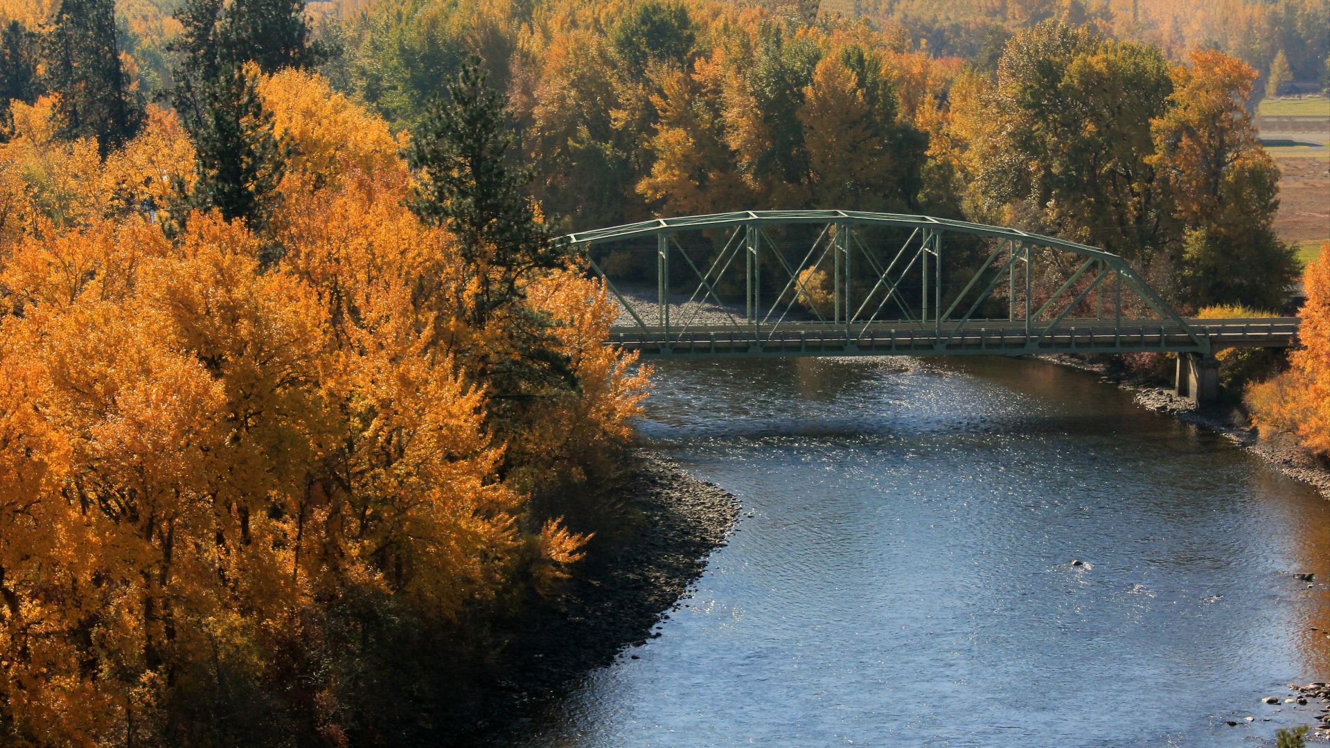 a bridge over a river surrounded by trees