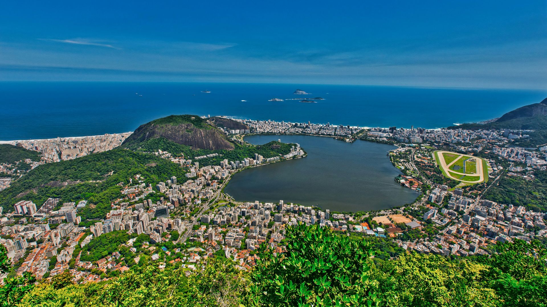 green trees on mountain near body of water during daytime