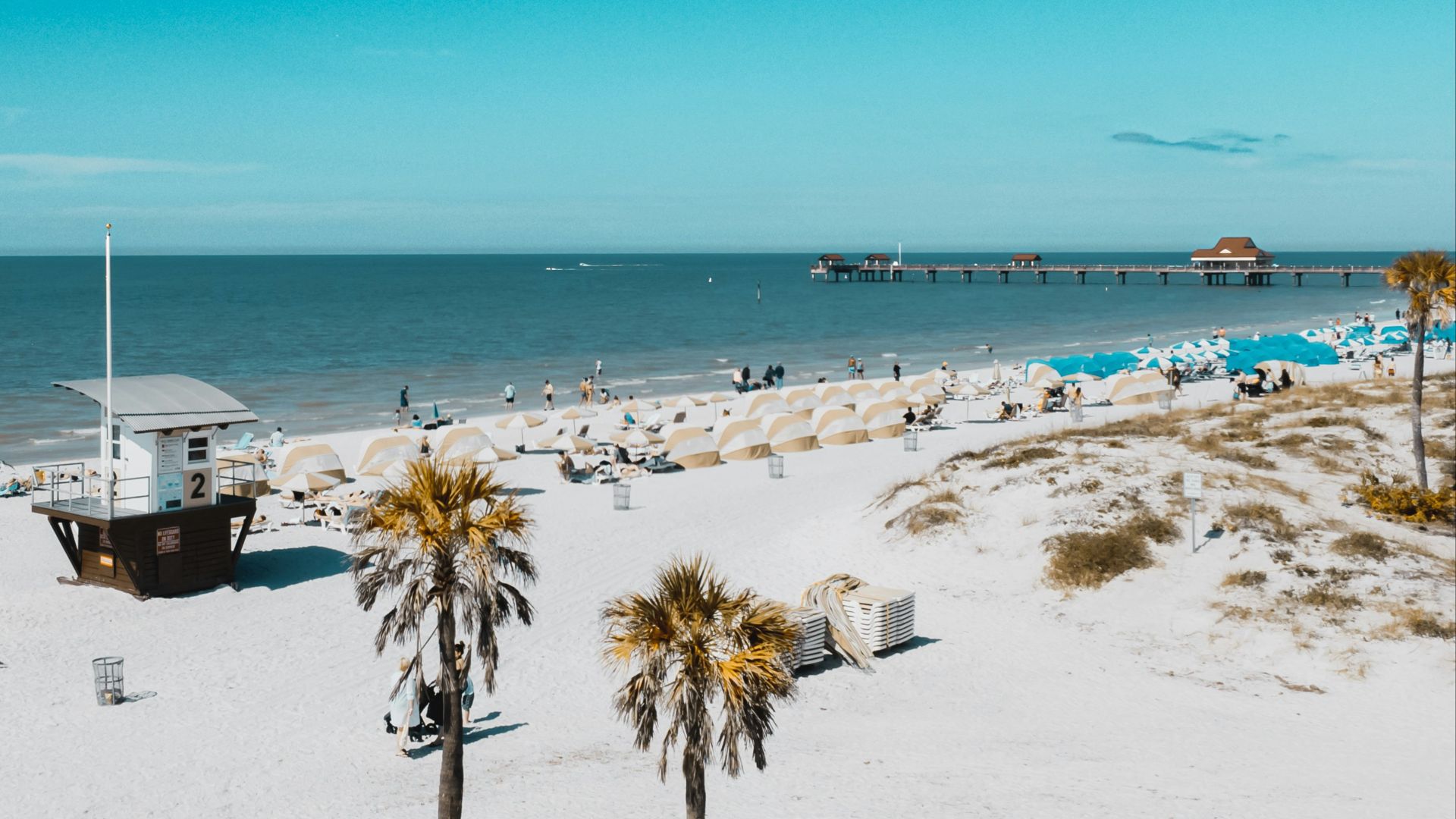 a beach with palm trees and a pier in the distance