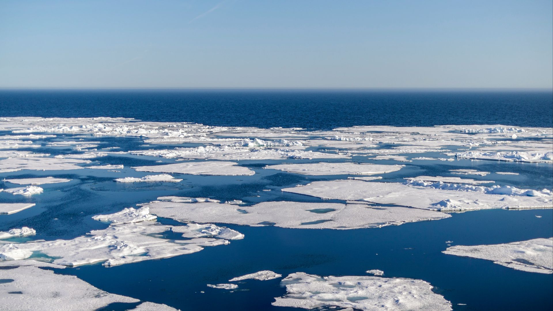 a large amount of ice floating on top of a body of water