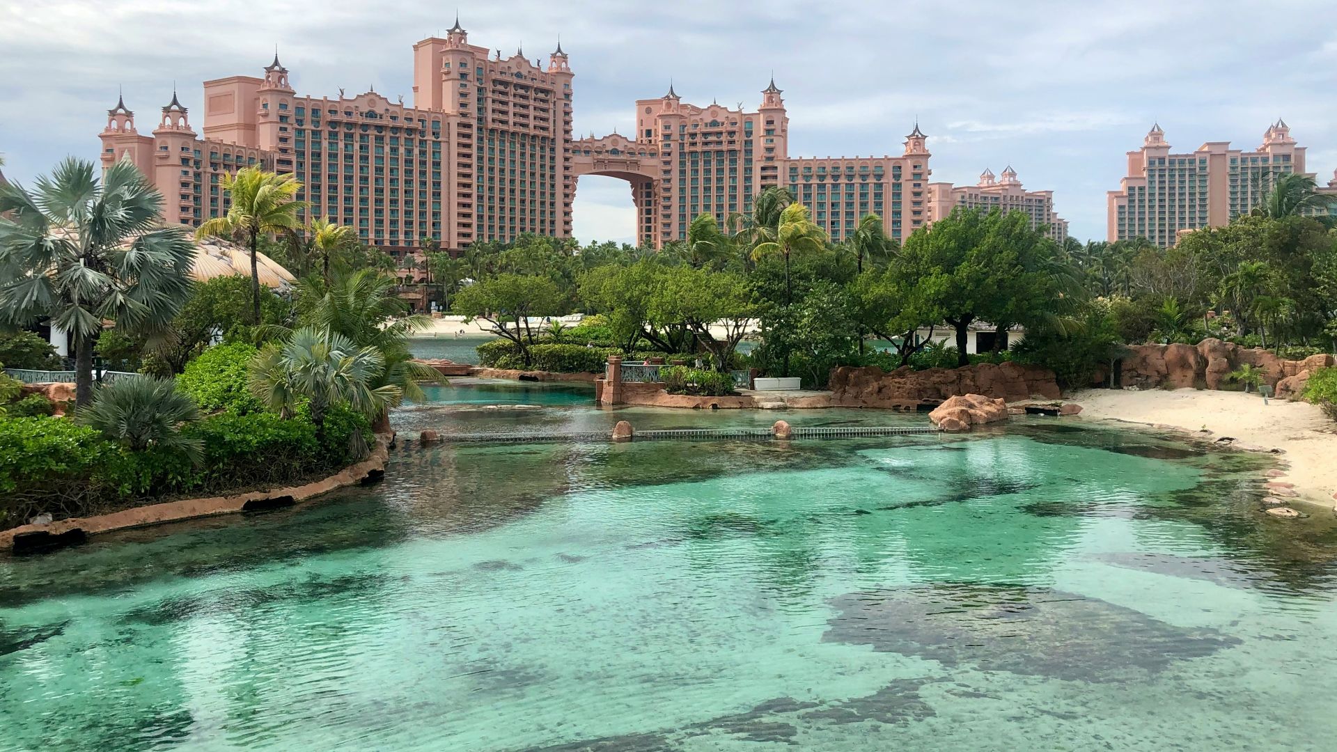 green trees near body of water during daytime