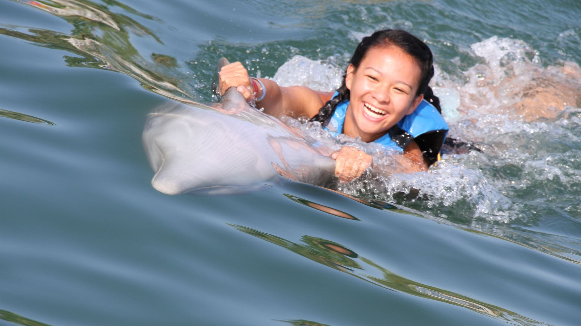 File:Dolphpin pic.jpg