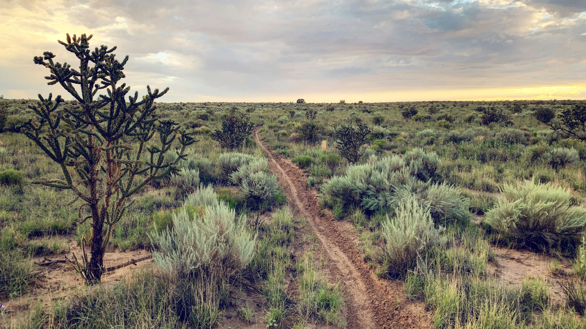 green grass field under cloudy sky during daytime