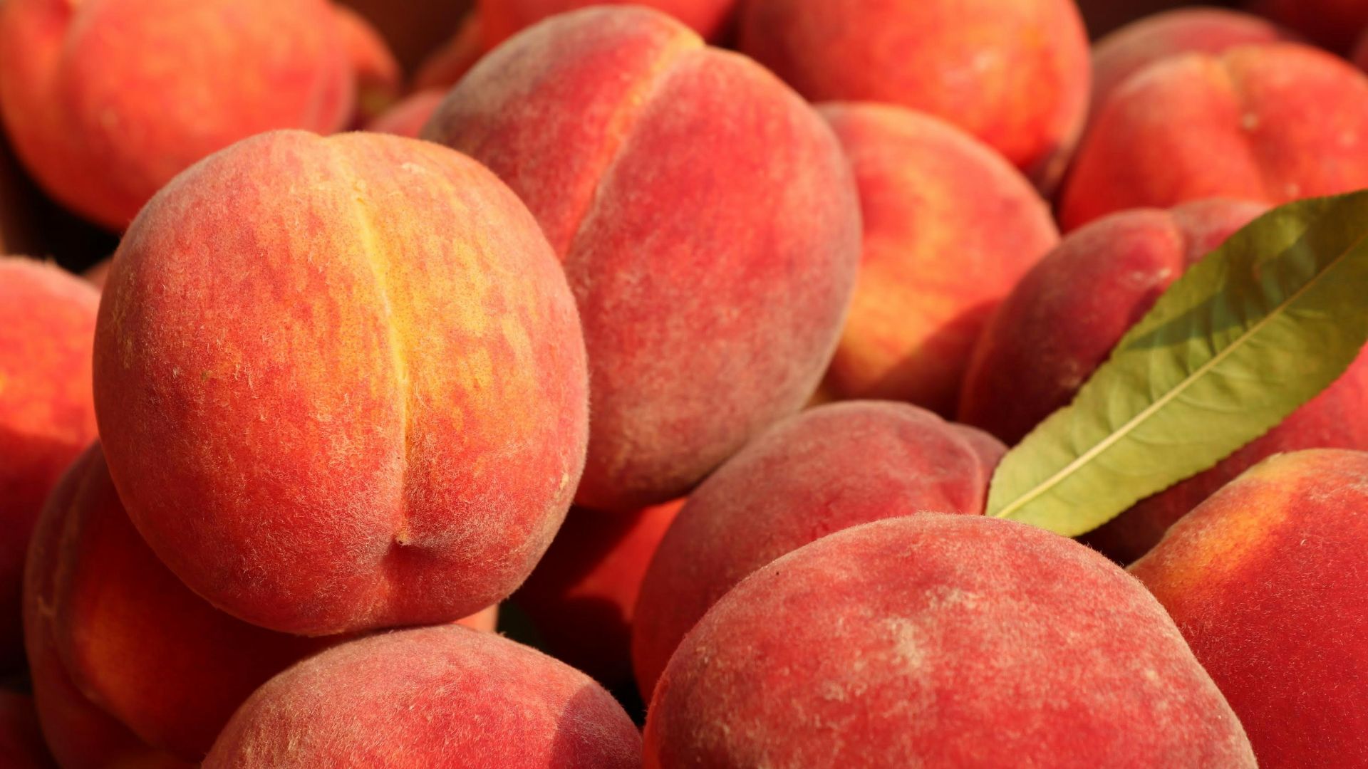 a pile of peaches with a leaf on top