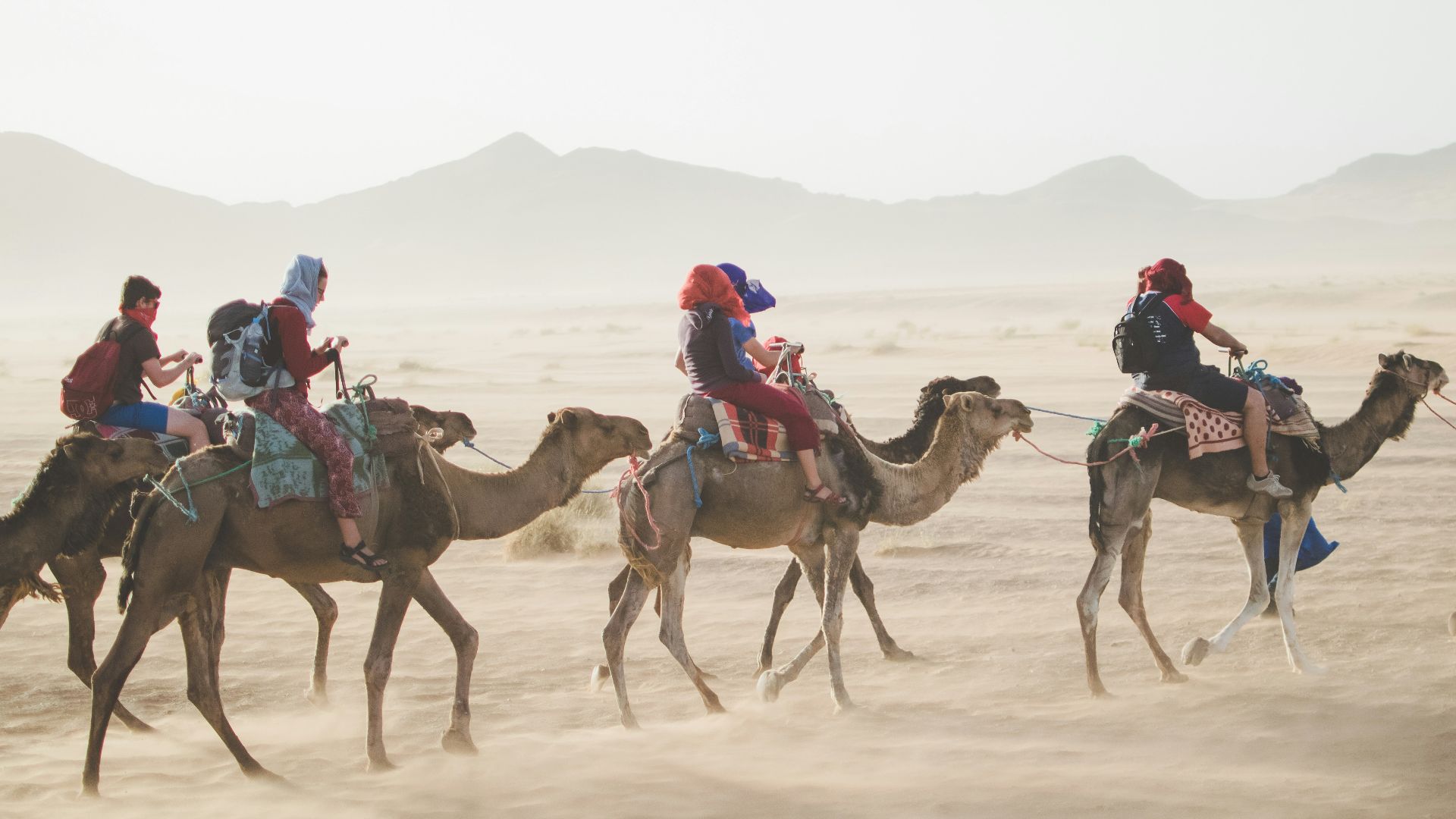 group of people riding camel on sand dune
