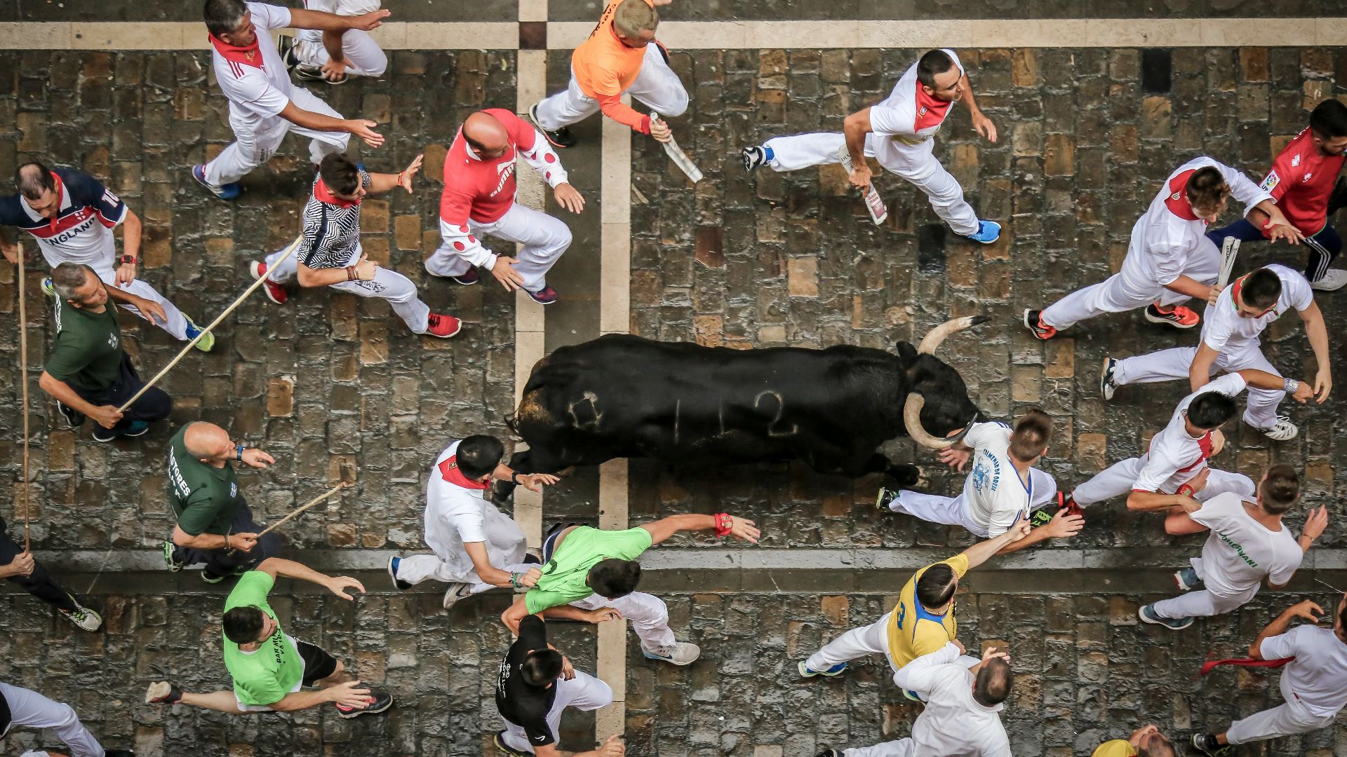 black buffalo on street