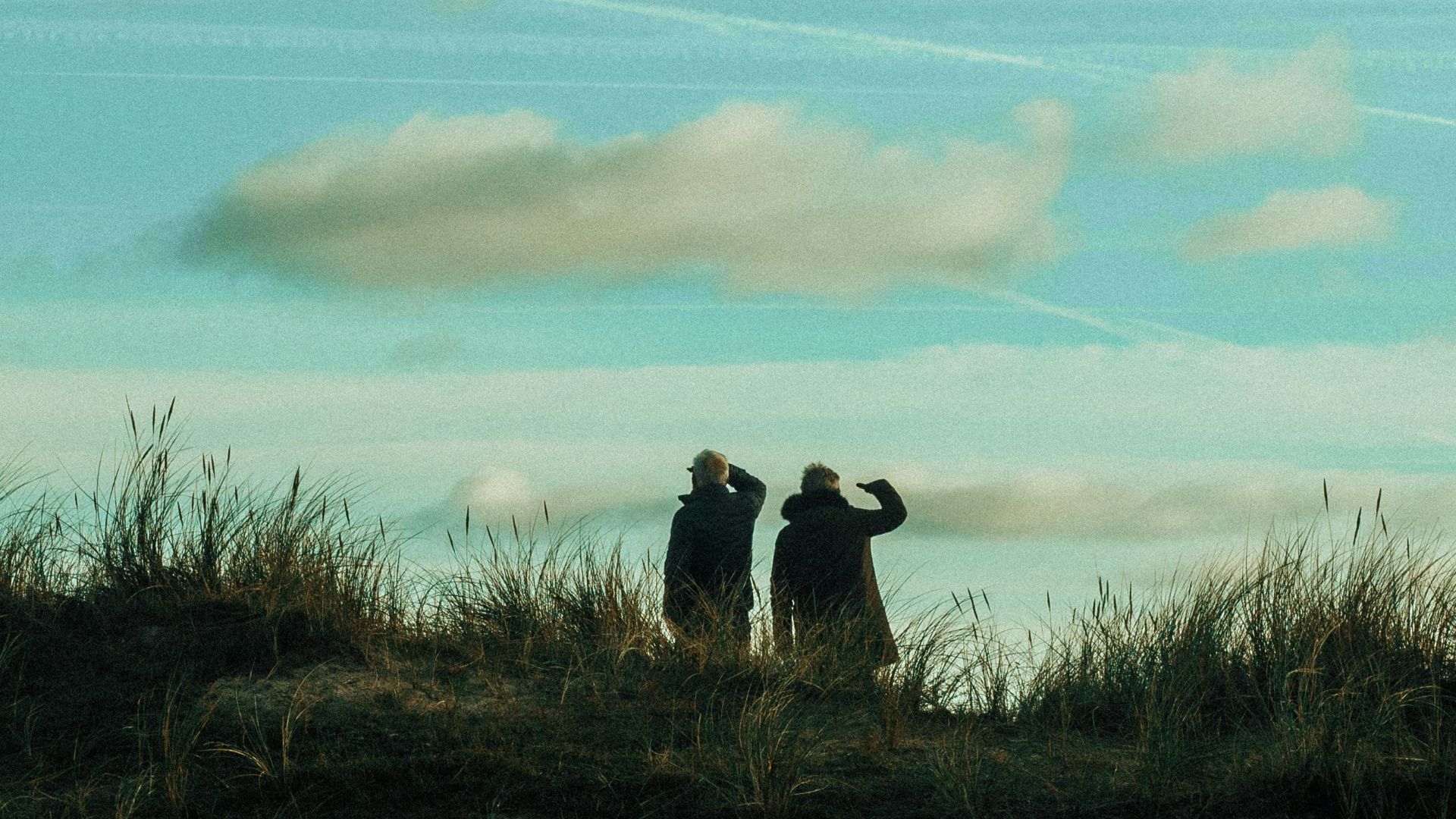 two person standing on grass field