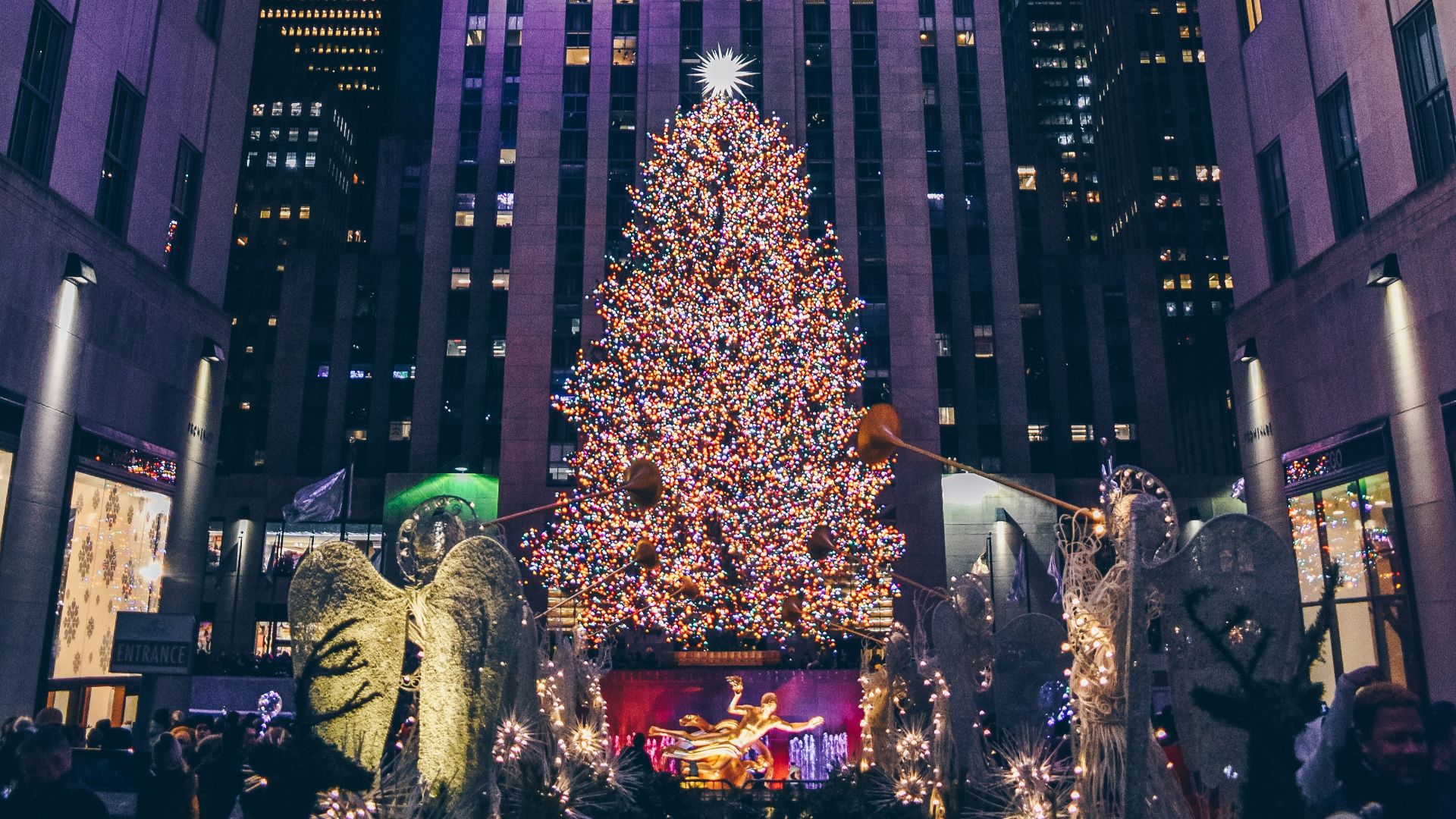 white and black high rise building