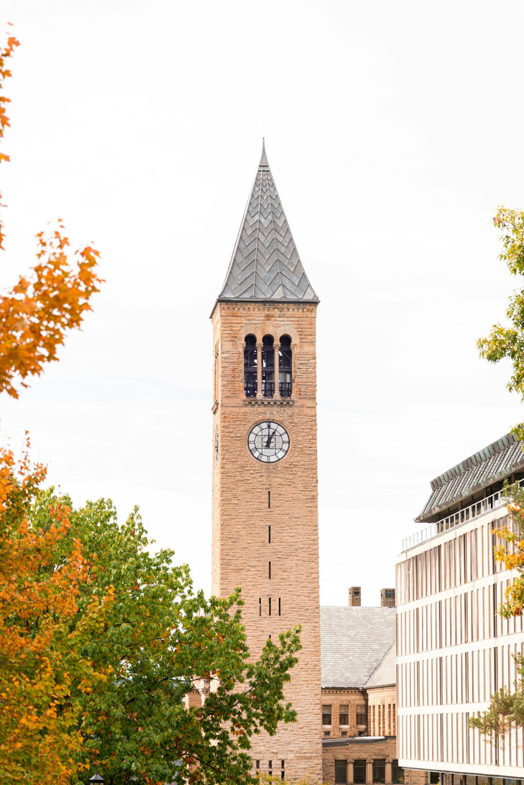 A tall brick clock tower framed by autumn leaves.