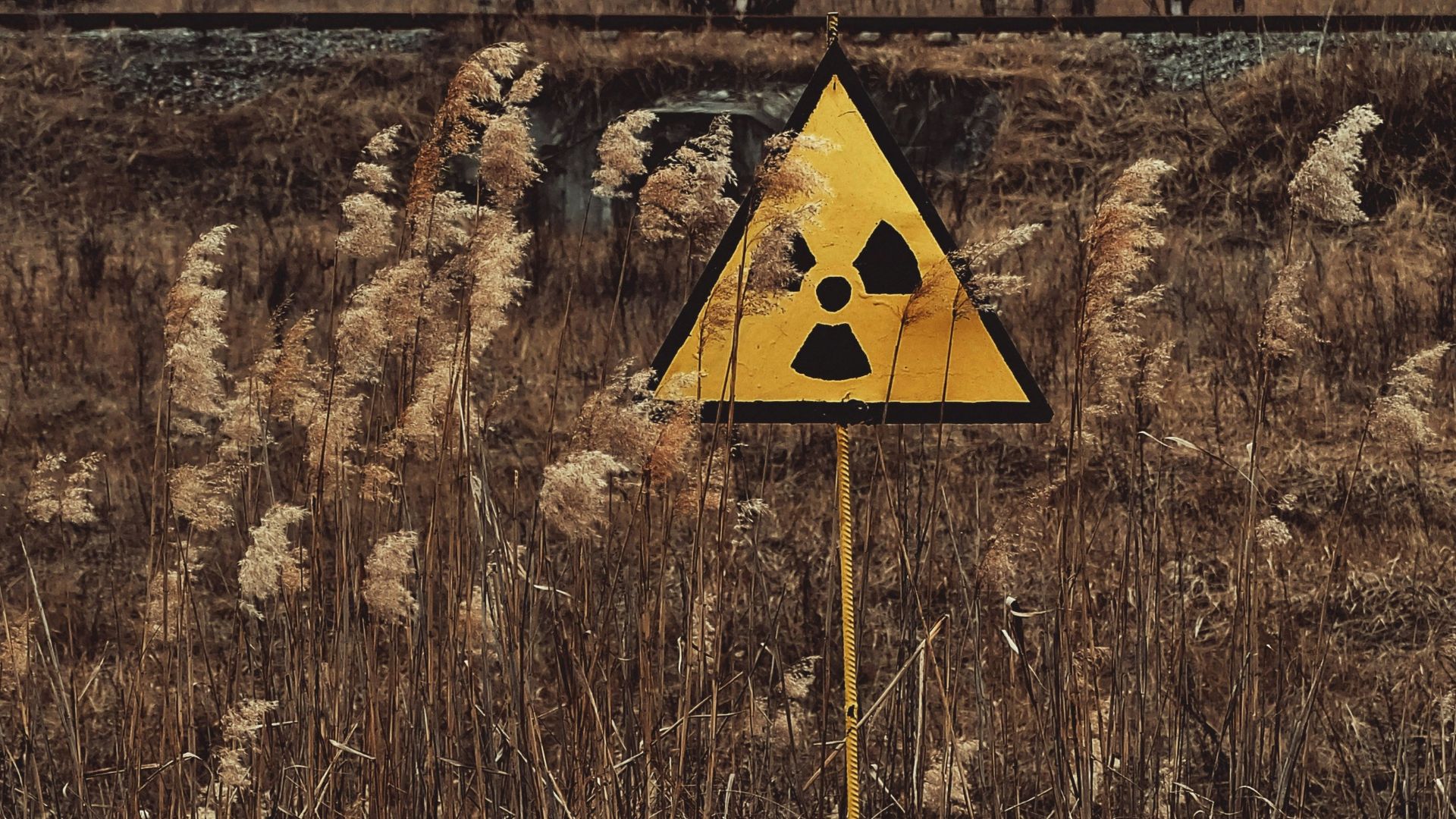 yellow and black house on brown grass field