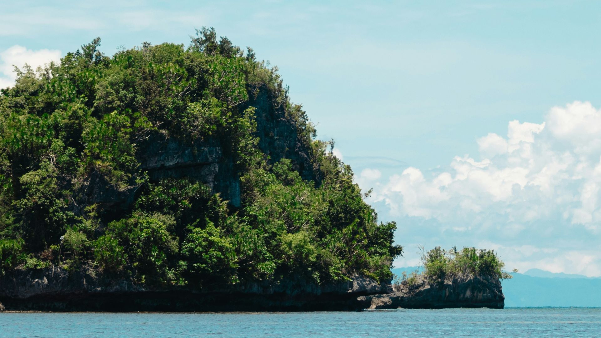 Lush green island with rocky cliffs in blue ocean.