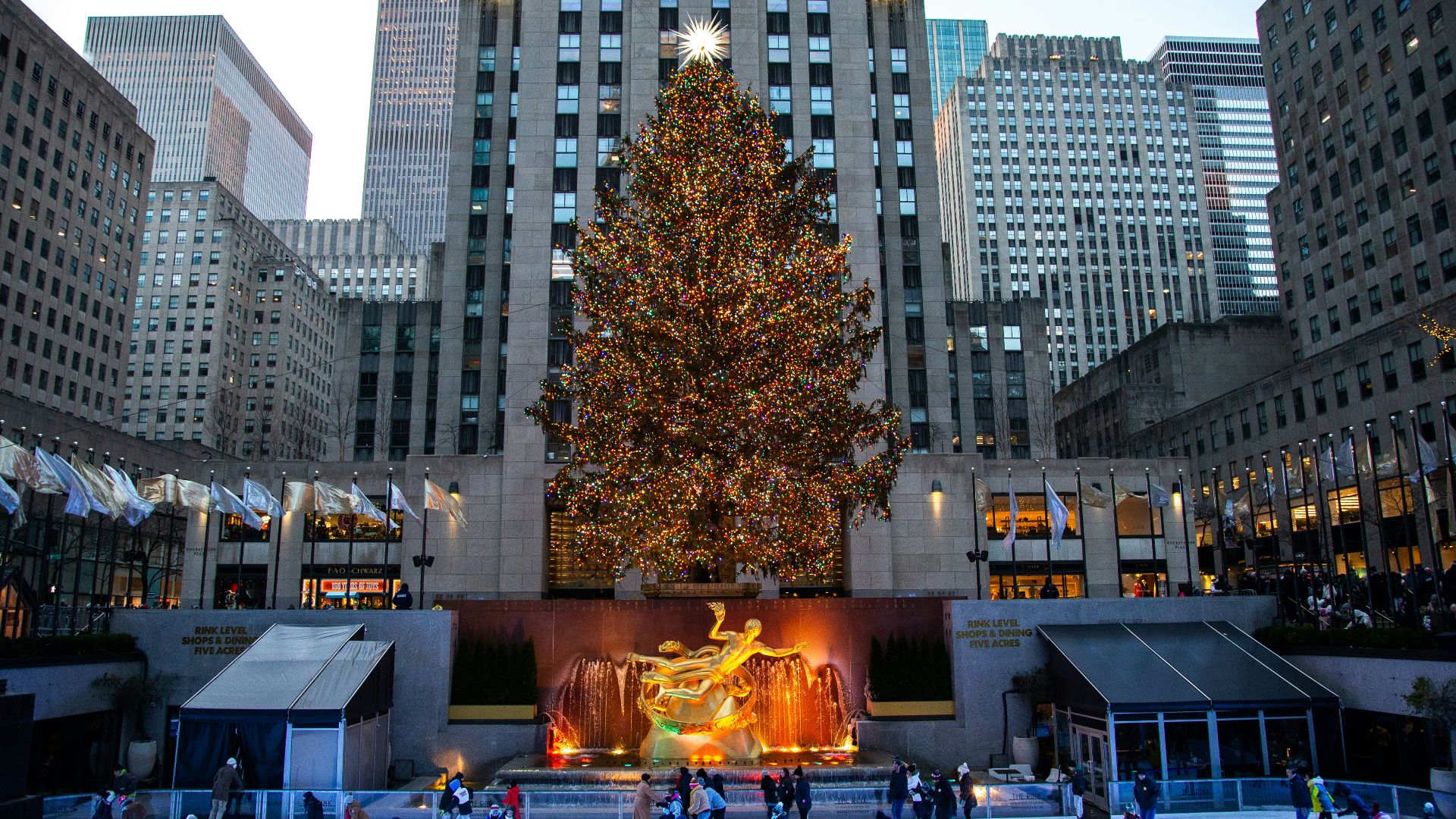a large christmas tree in a city square