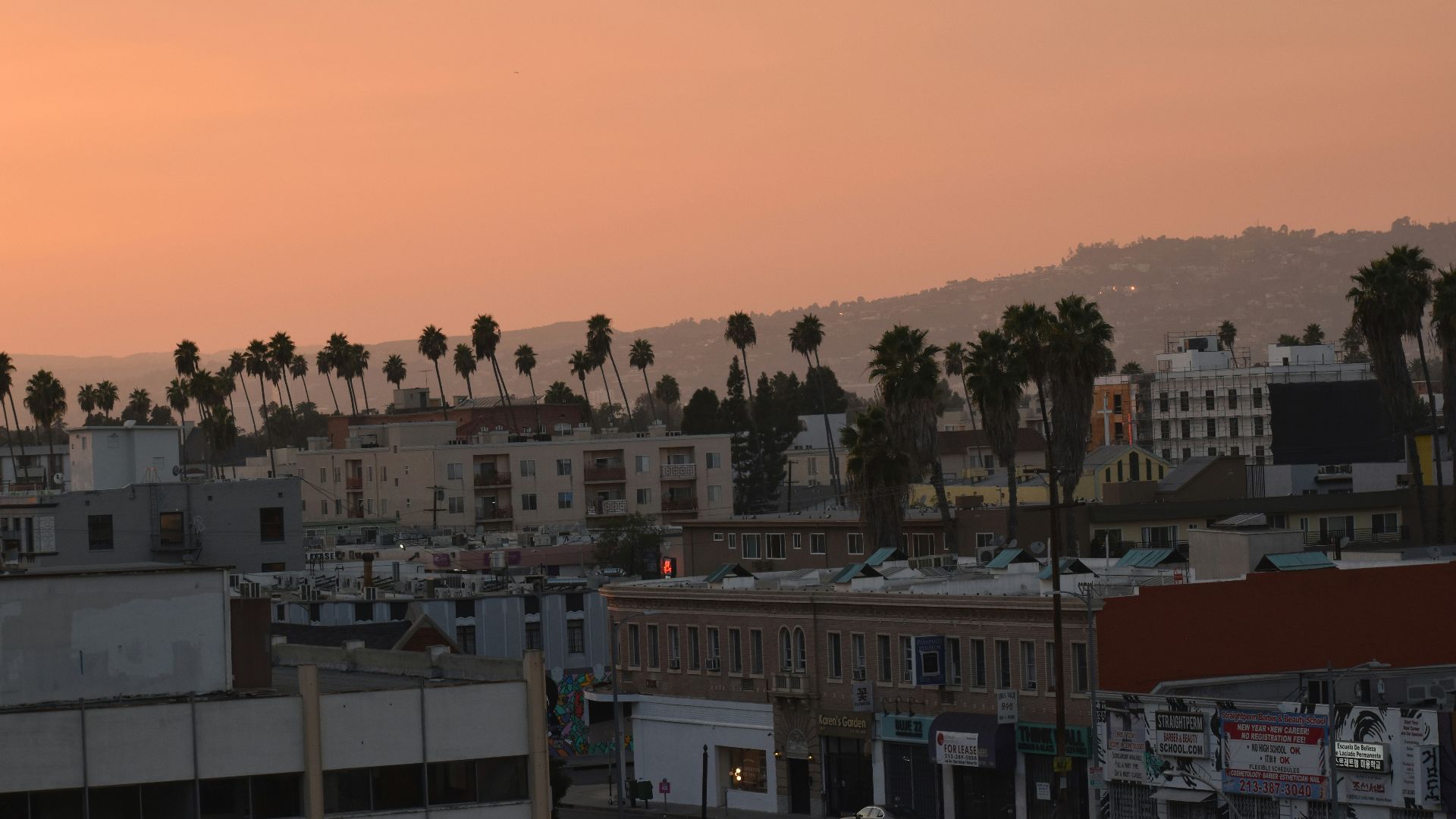white and brown concrete buildings during daytime