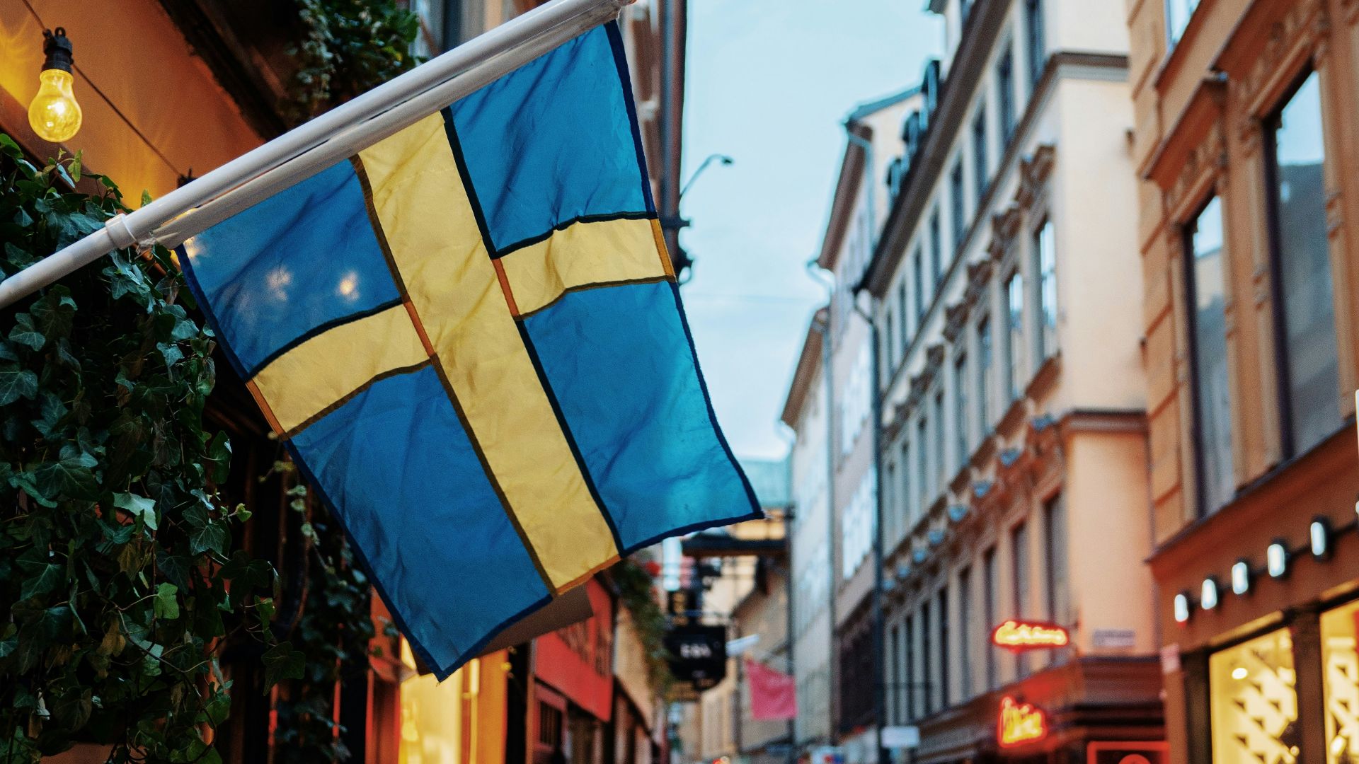 people at the street between commercial buildings