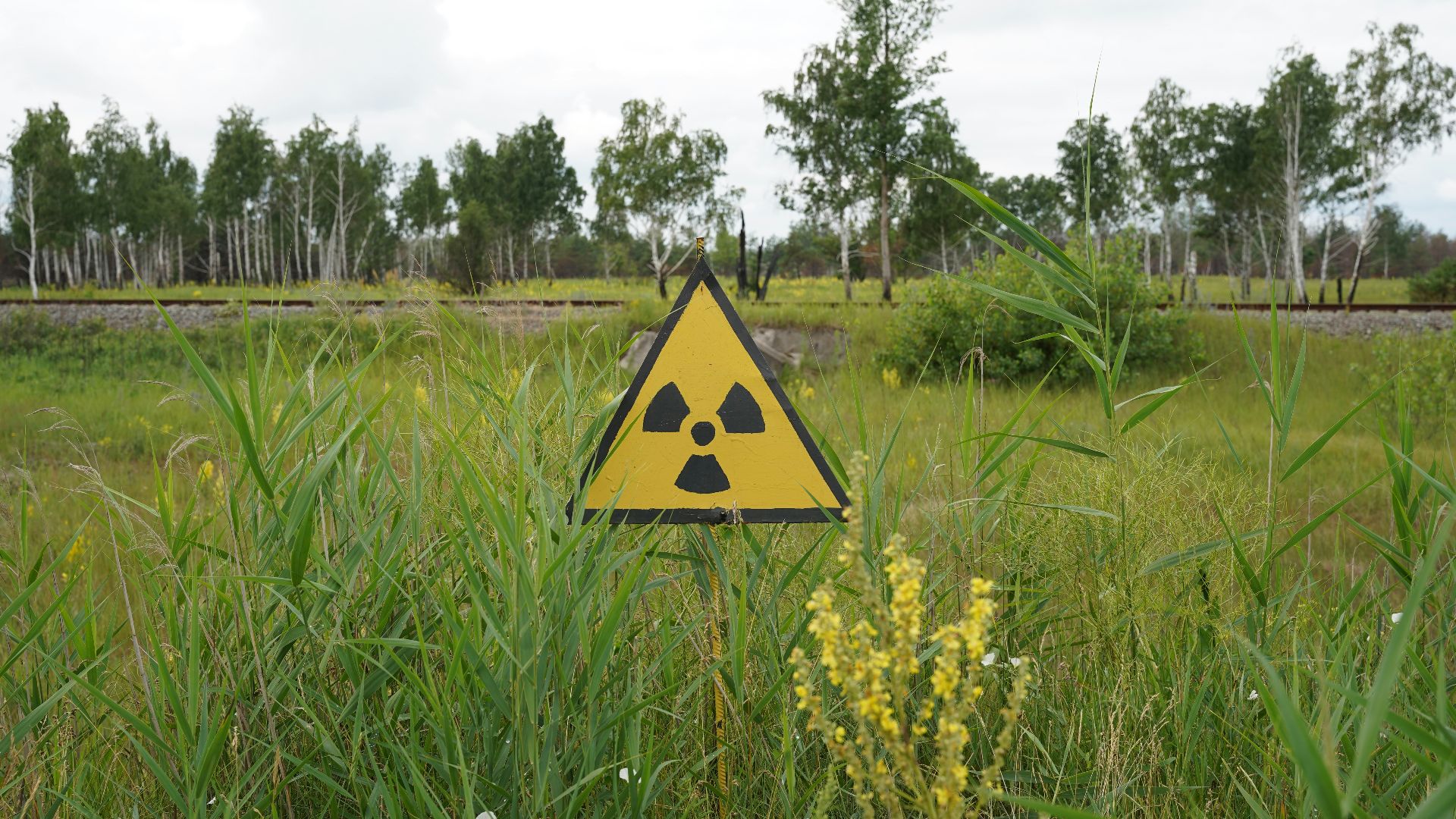 a yellow sign in a field
