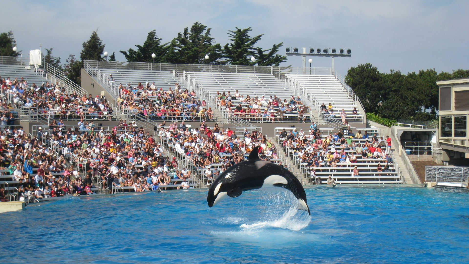 people in white and black whale tail in blue sea during daytime