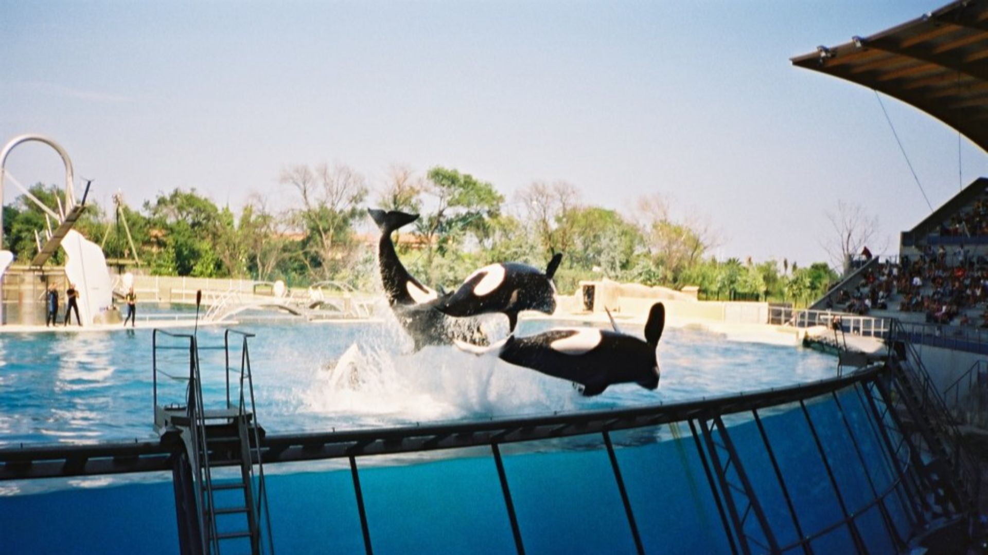 File:Marineland Antibes 04.jpg