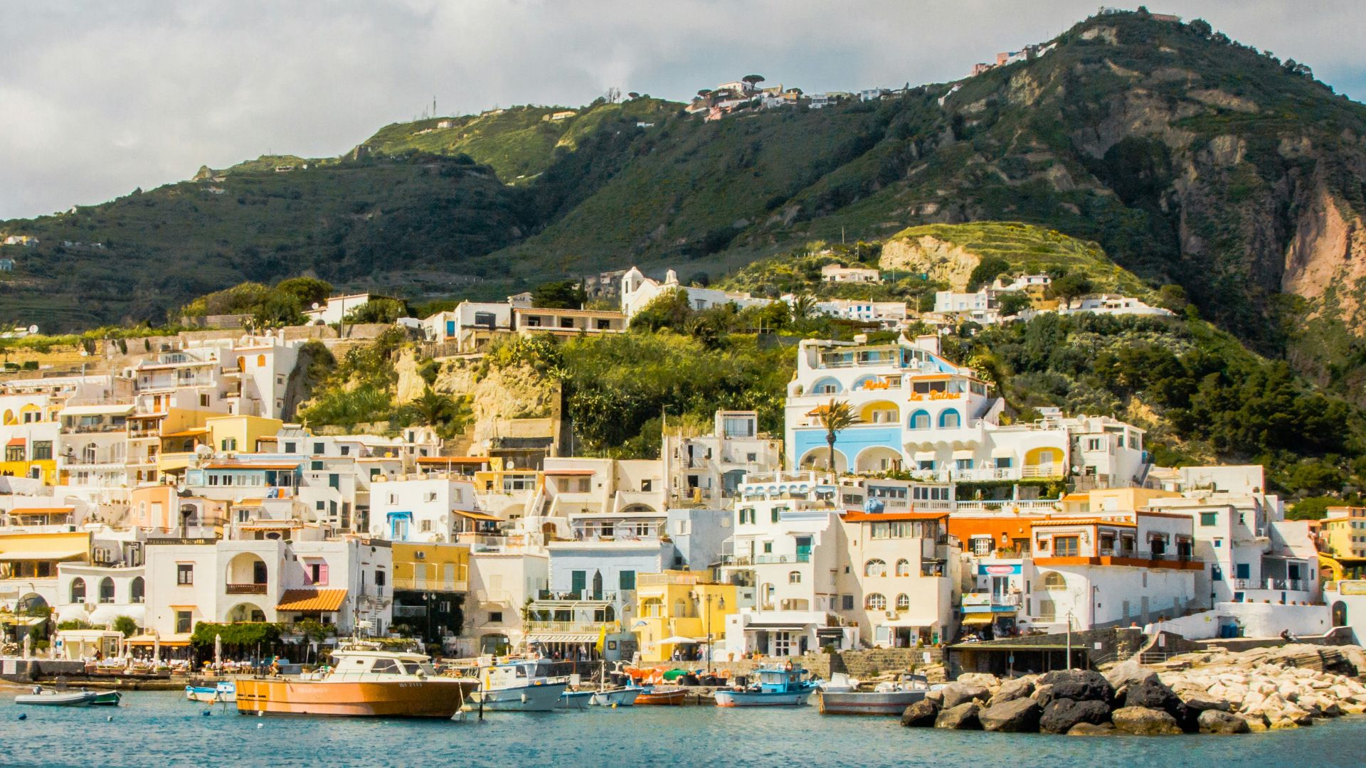 aerial view of houses near body of water