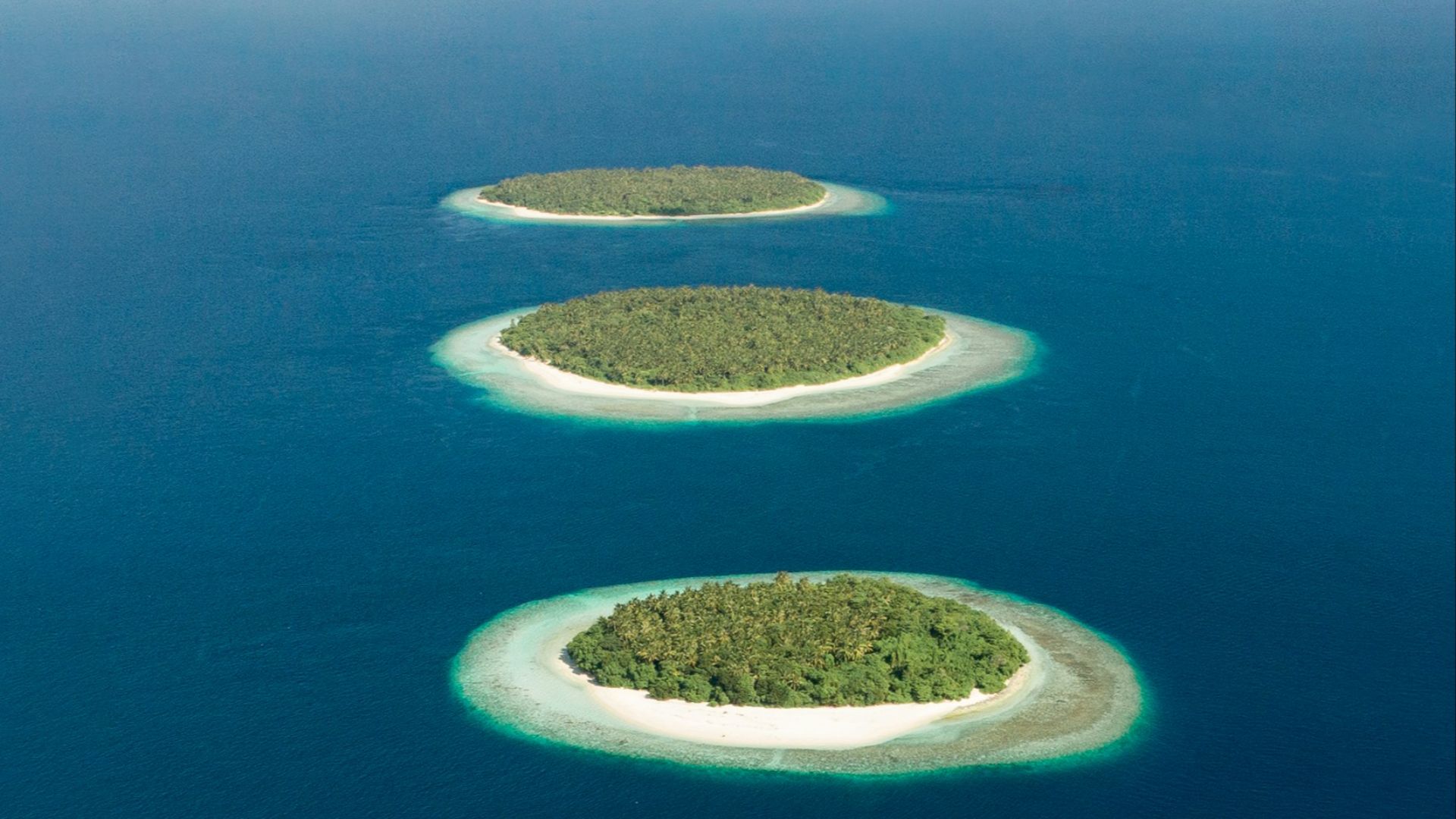 green and brown island in the middle of blue water
