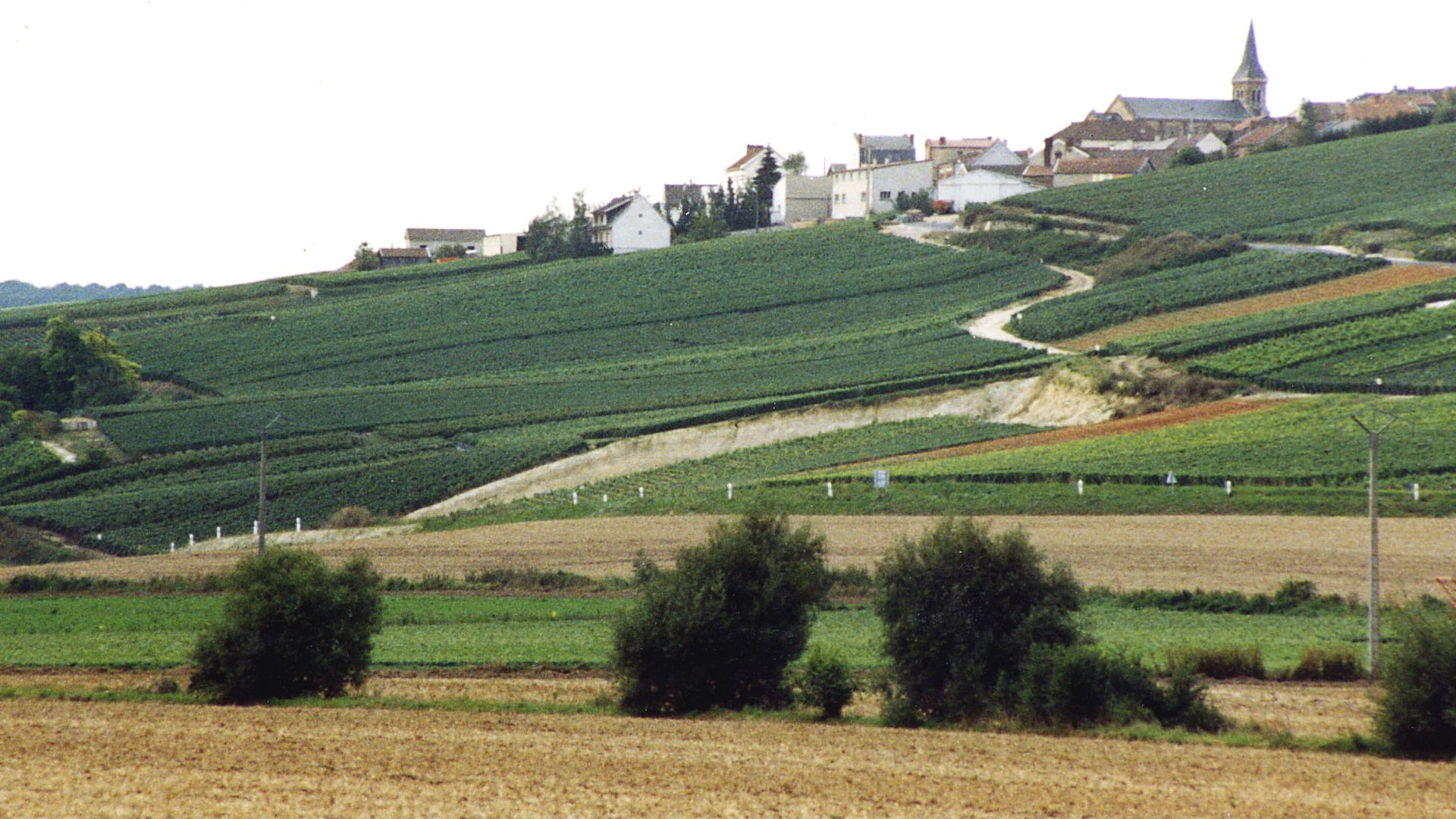 File:Village and vineyards in Champagne.jpg