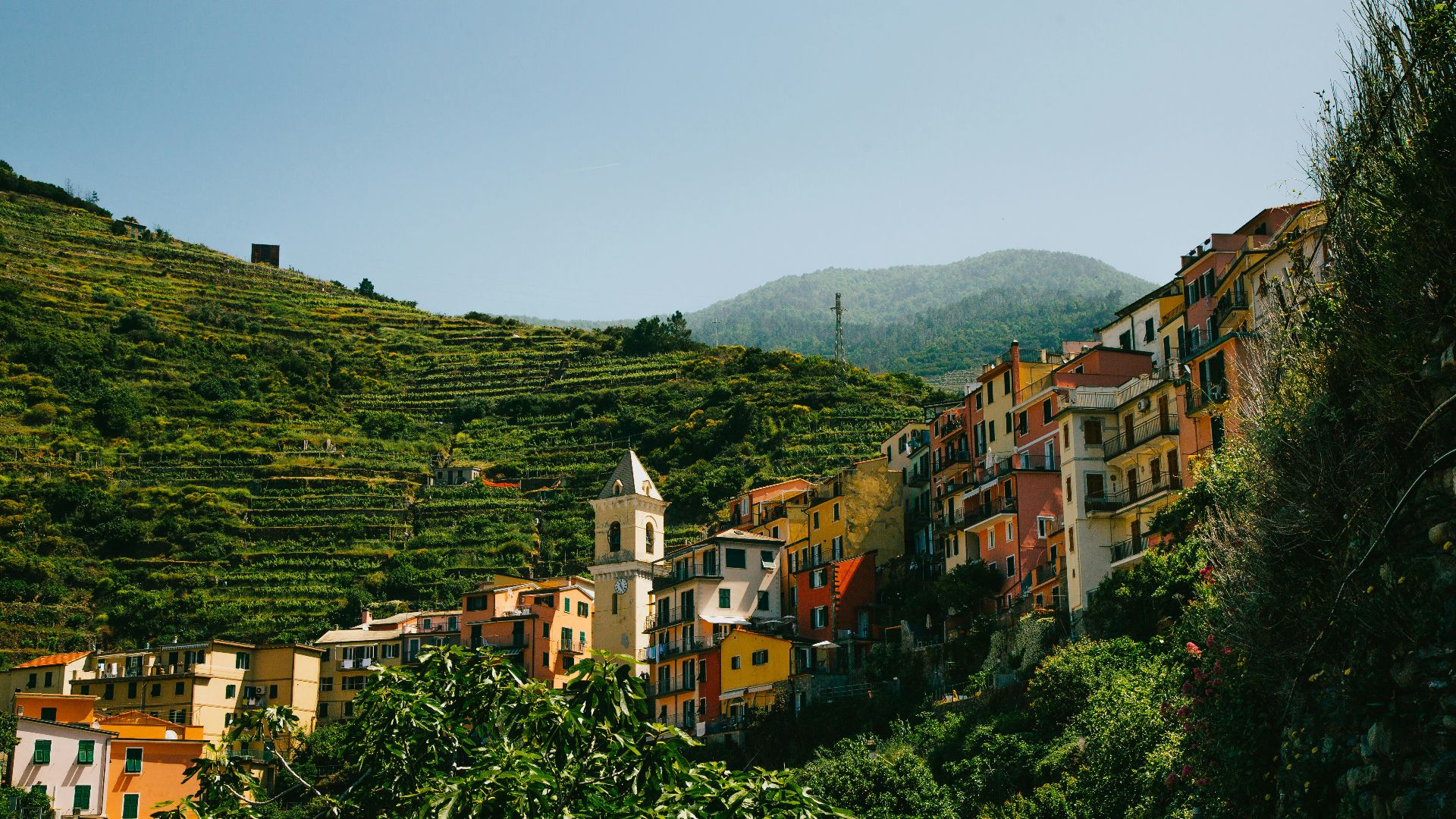 concrete houses near trees