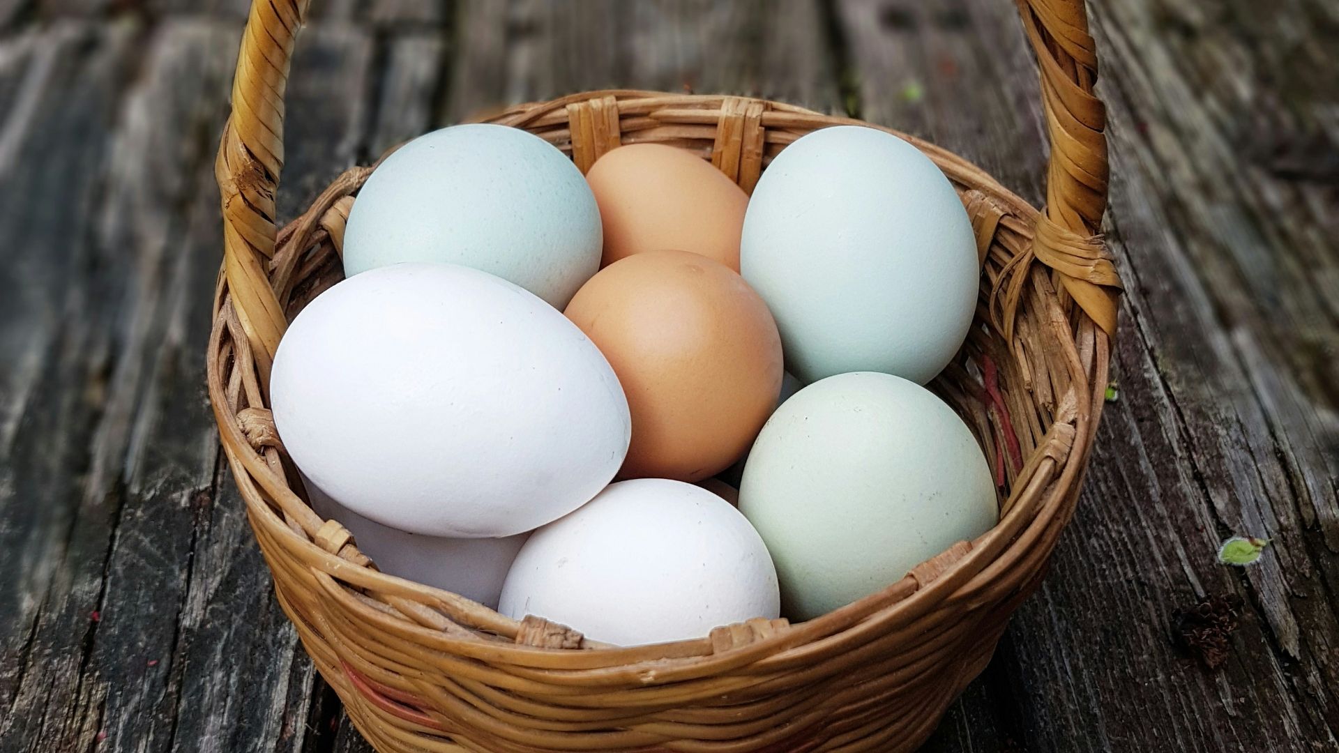 basket of eggs