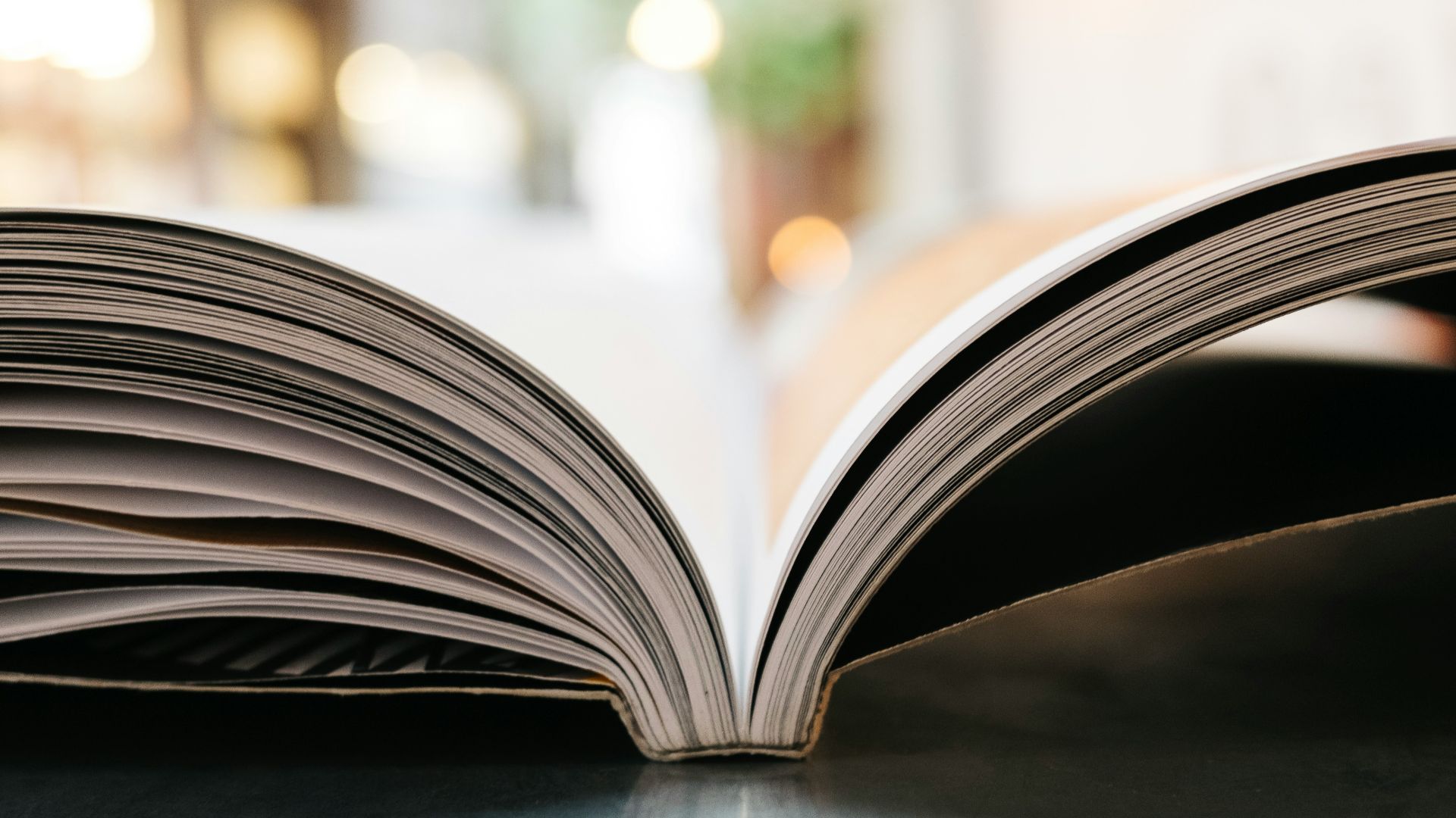 bokeh photography of open book