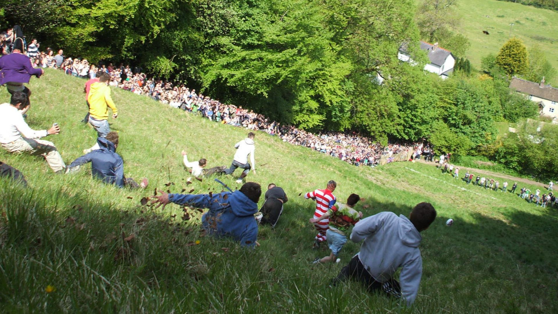 File:CheeseRolling.jpg