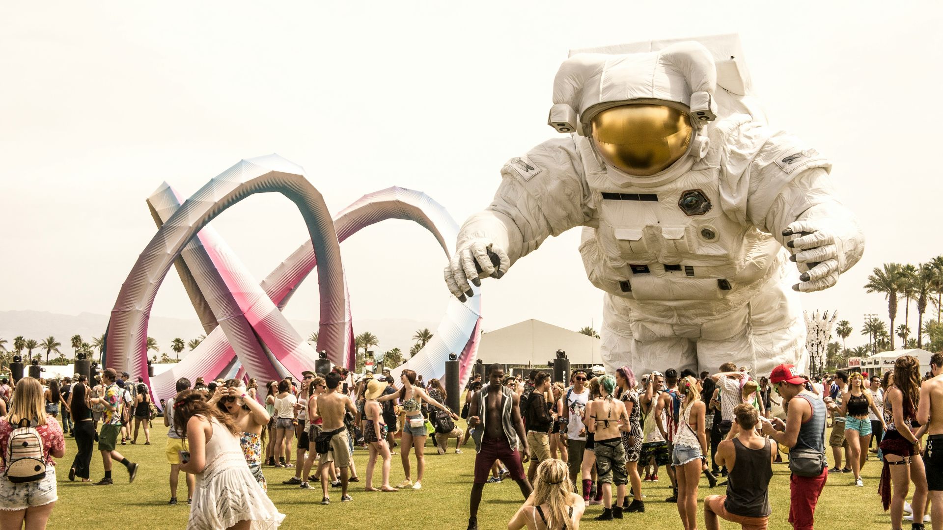 group of person standing on green grass field