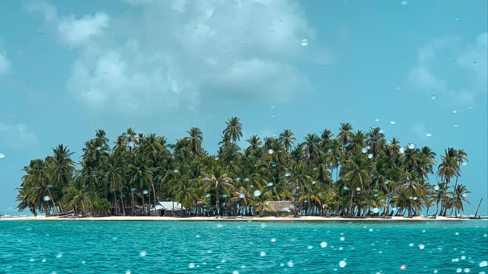green palm trees on island during daytime