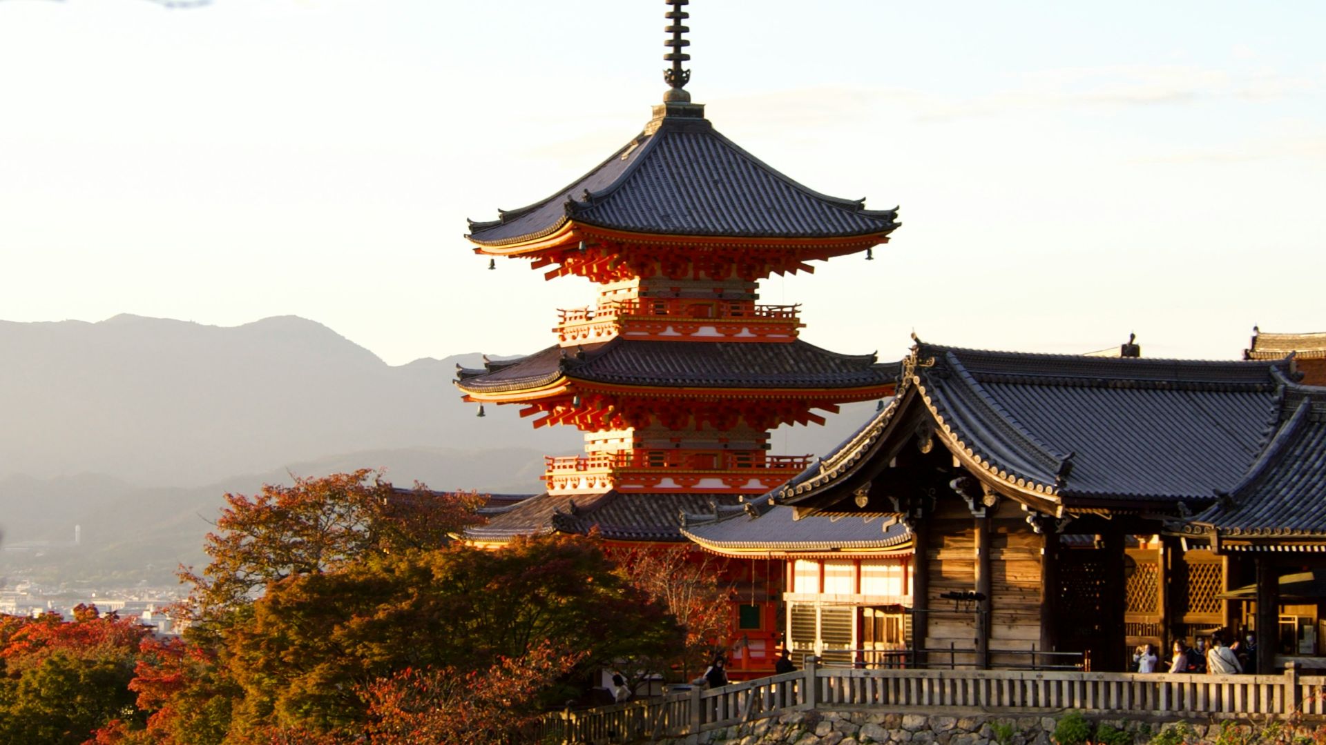 a tall building sitting on top of a lush green hillside