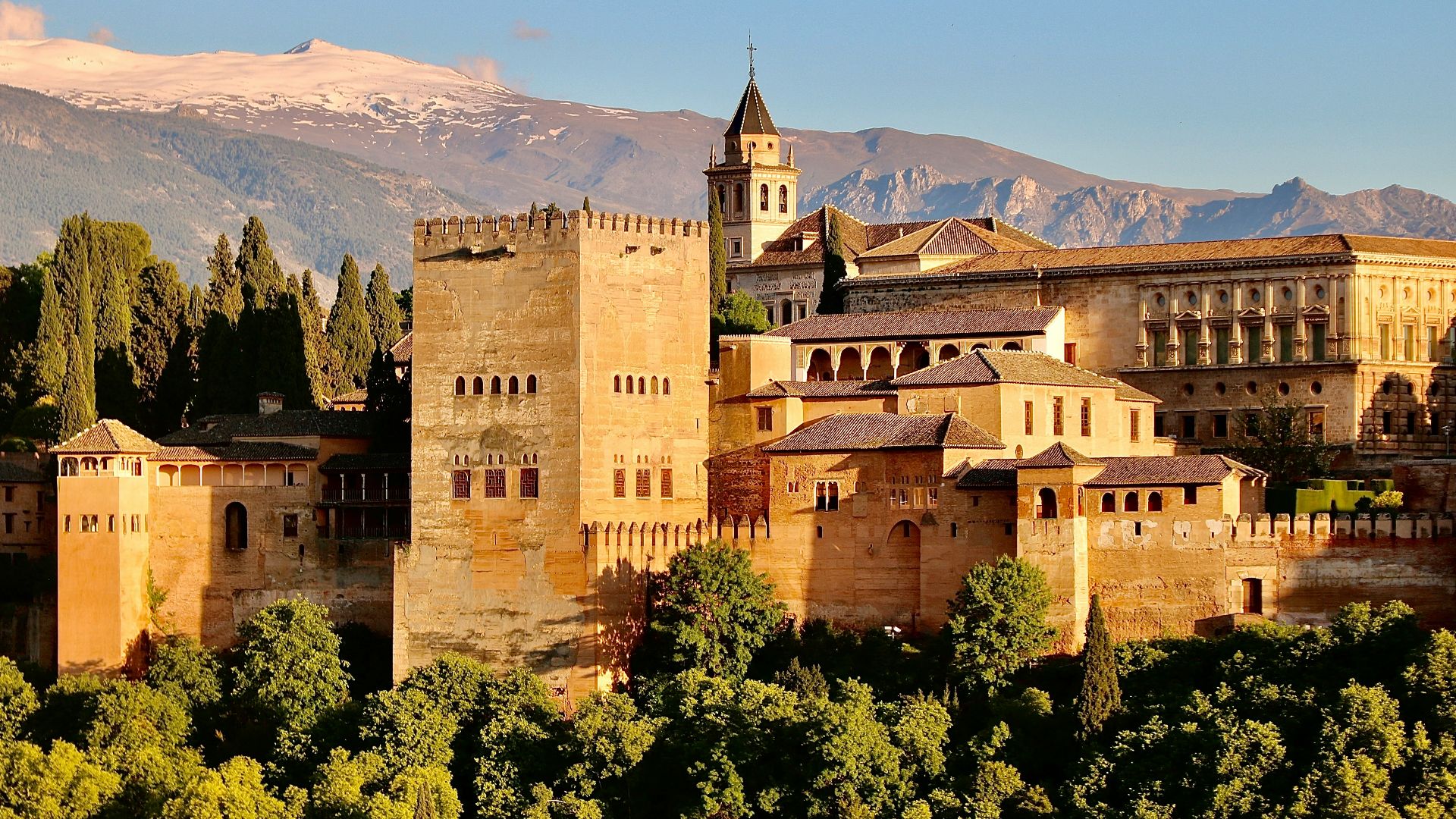 brown concrete castle surrounded by green trees during daytime