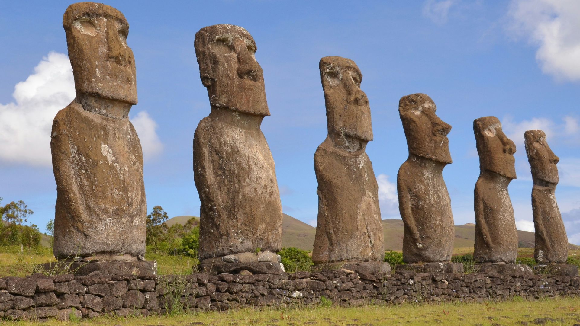a row of moai statues sitting on top of a grass covered field