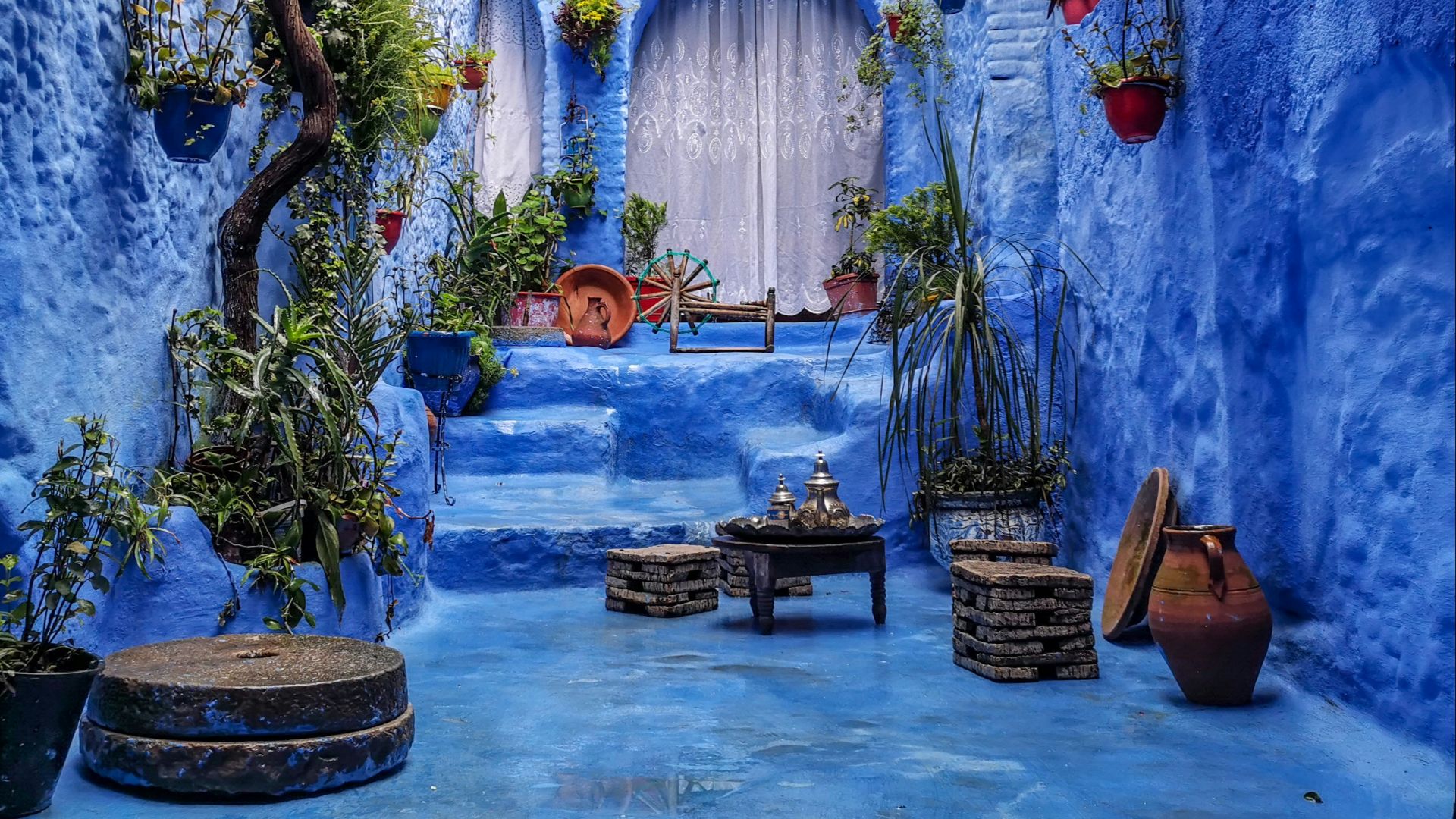 a blue alley with potted plants and a bench