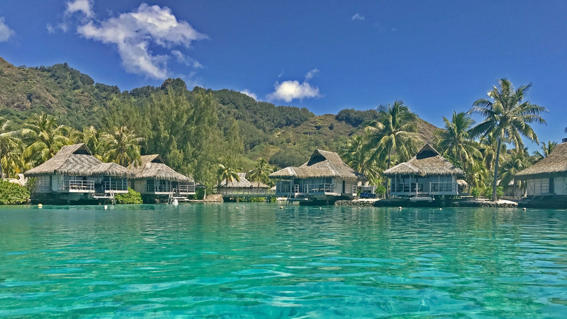 brown wooden houses on water near green mountain under blue sky during daytime