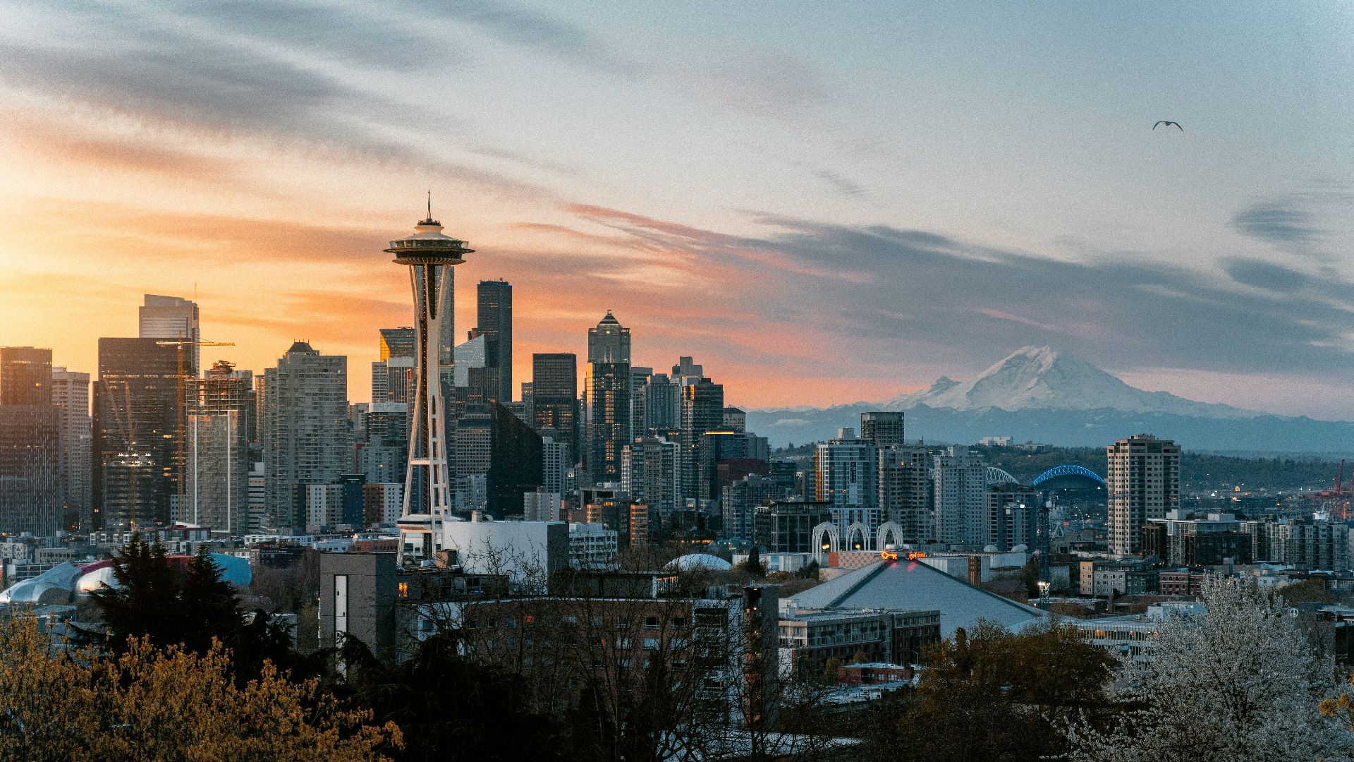 high rise buildings during daytime