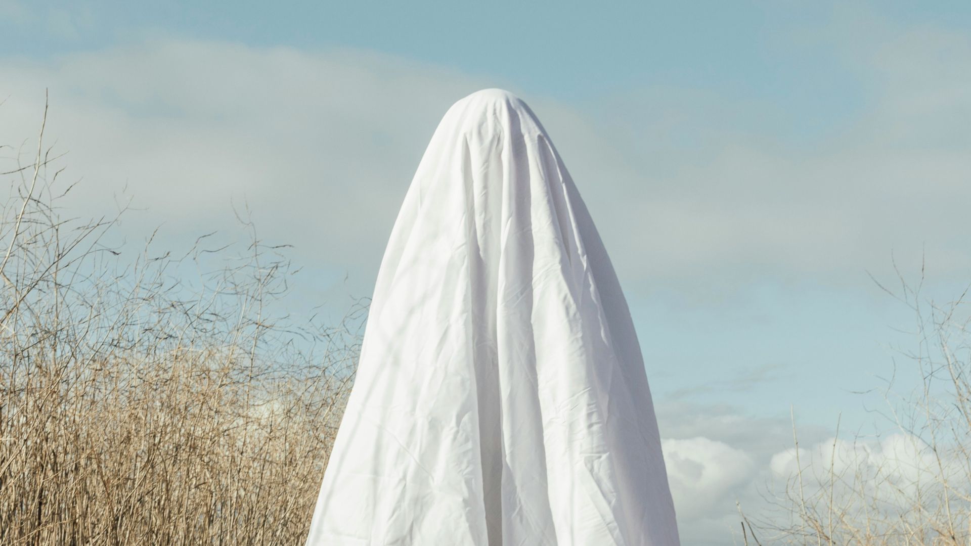 white textile on brown grass field