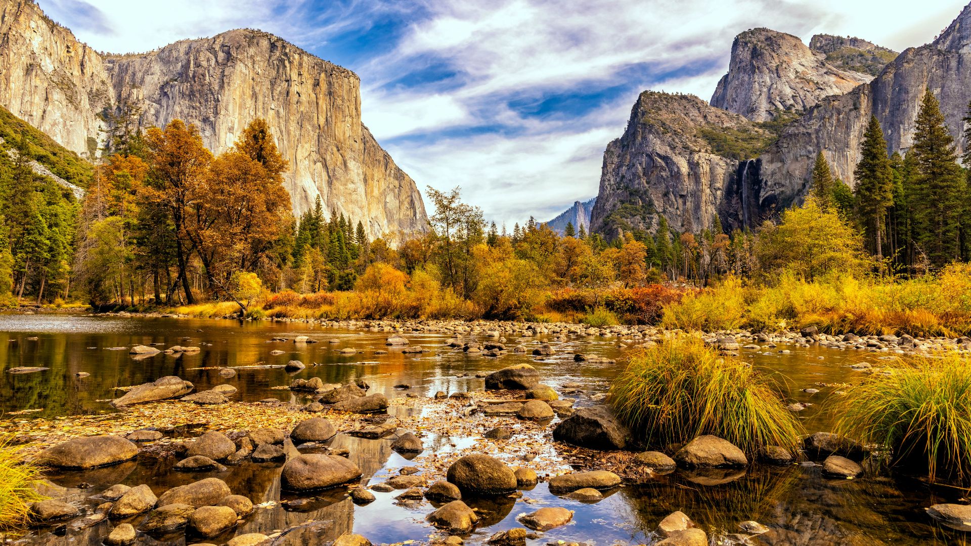 green trees near mountain during daytime